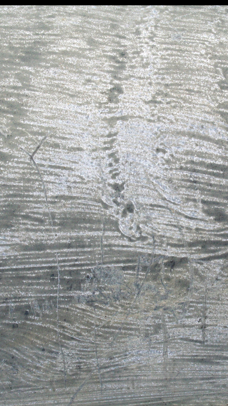 Обои текстура металла, текстура, металл, древесина, свет в разрешении 750x1334