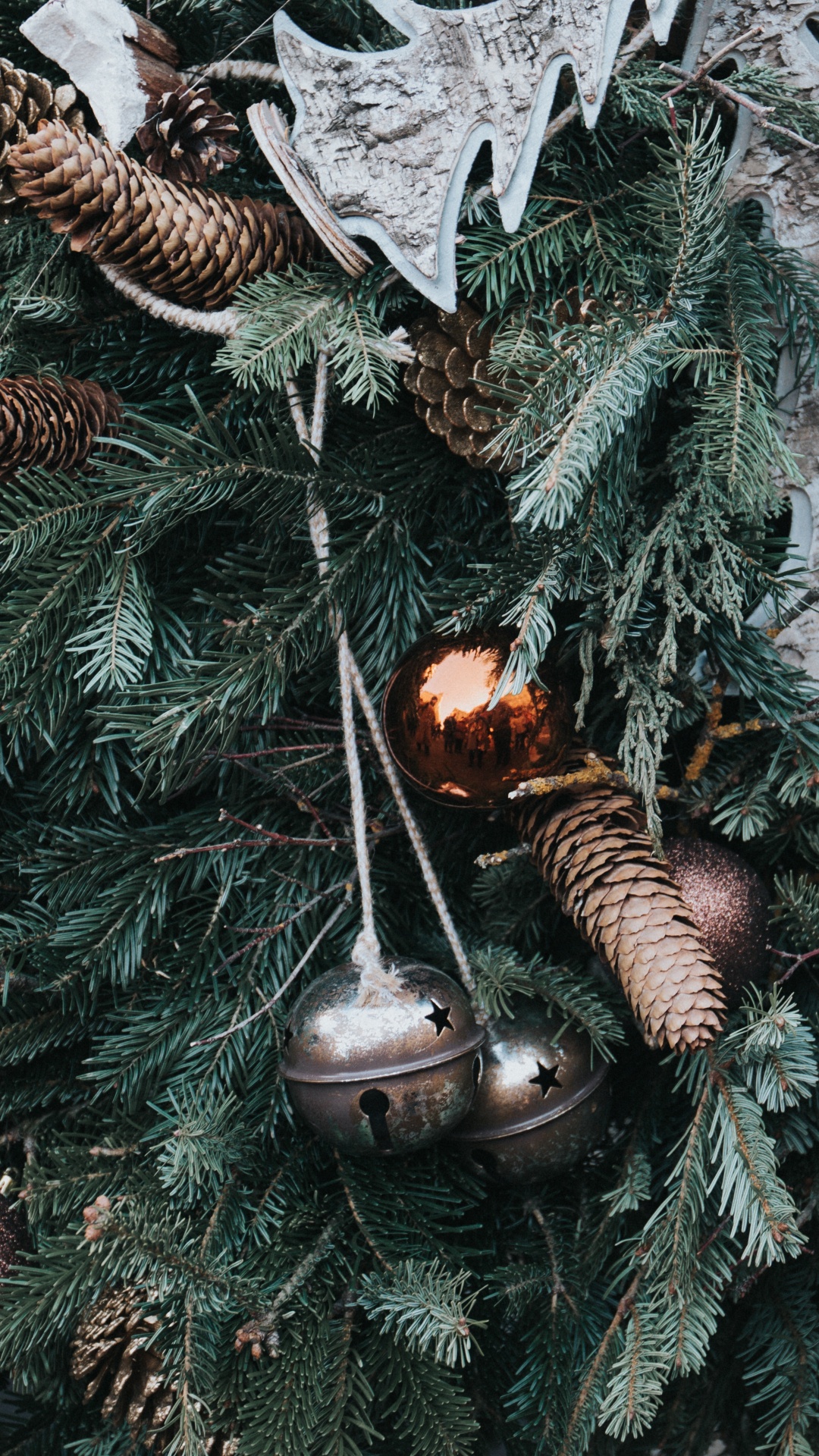 Обои Рождественский день, Рождественские украшения, рождественский орнамент, дерево, растение в разрешении 1080x1920