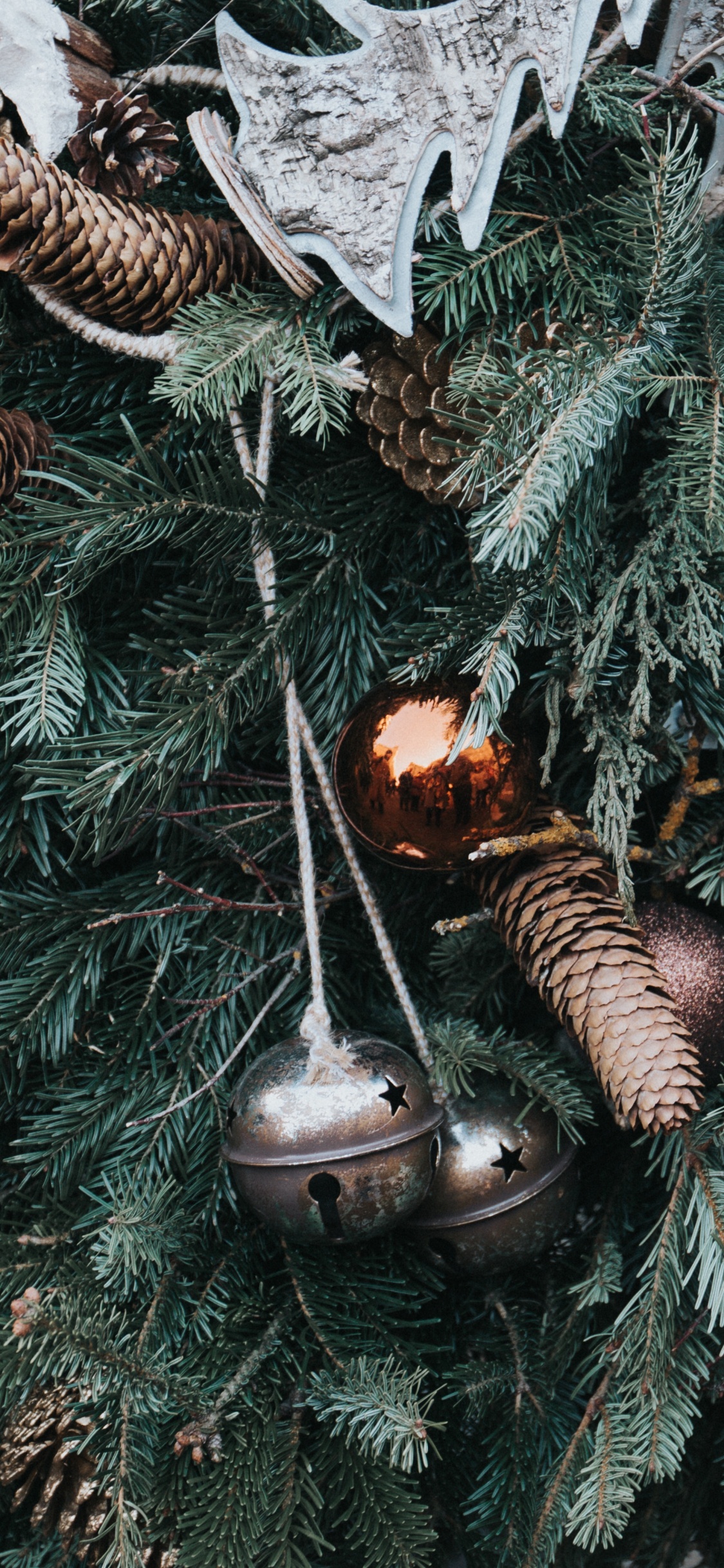 Обои Рождественский день, Рождественские украшения, рождественский орнамент, дерево, растение в разрешении 1125x2436