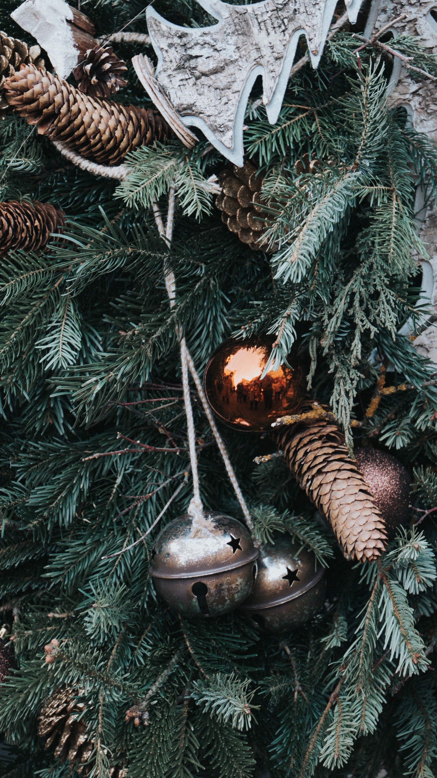 Обои Рождественский день, Рождественские украшения, рождественский орнамент, дерево, растение в разрешении 1440x2560