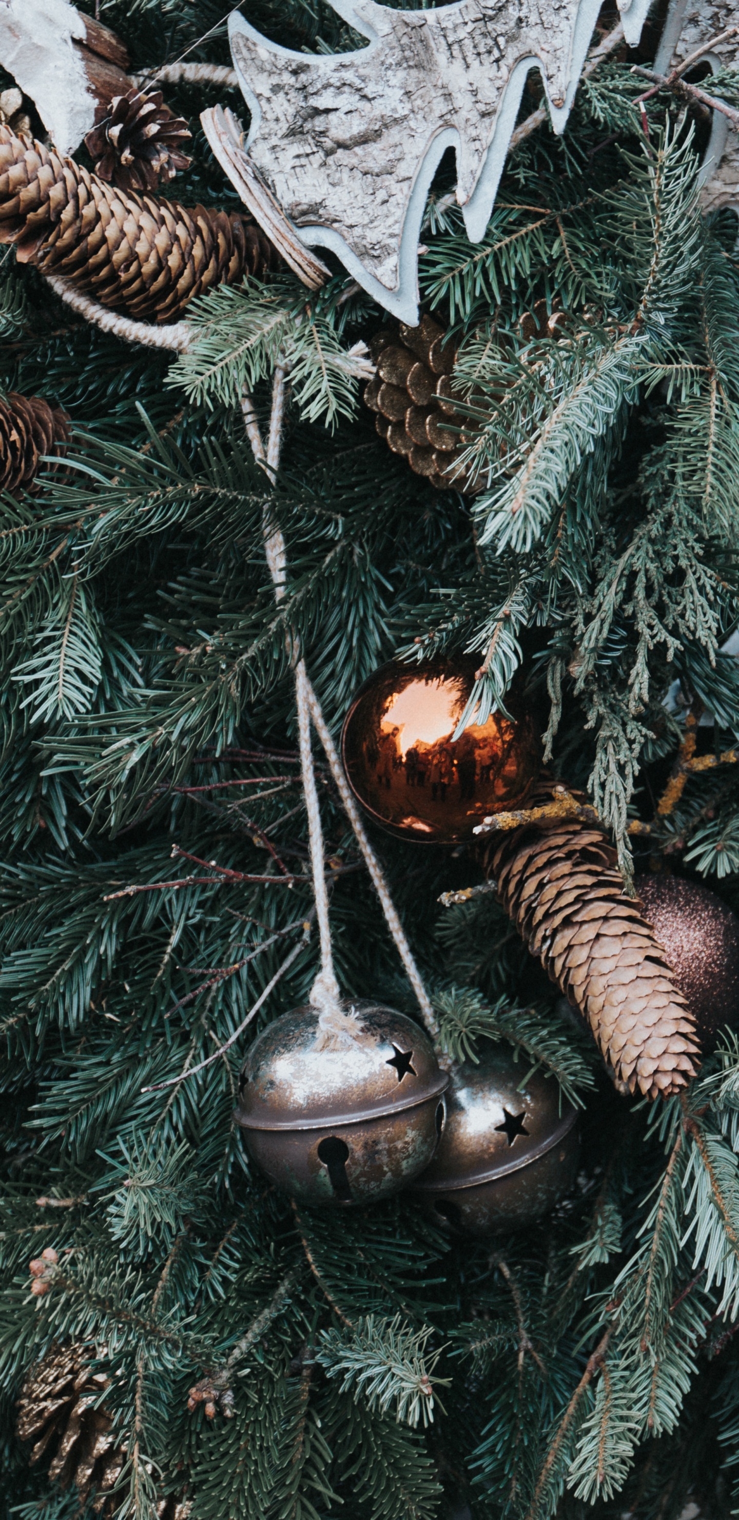 Обои Рождественский день, Рождественские украшения, рождественский орнамент, дерево, растение в разрешении 1440x2960