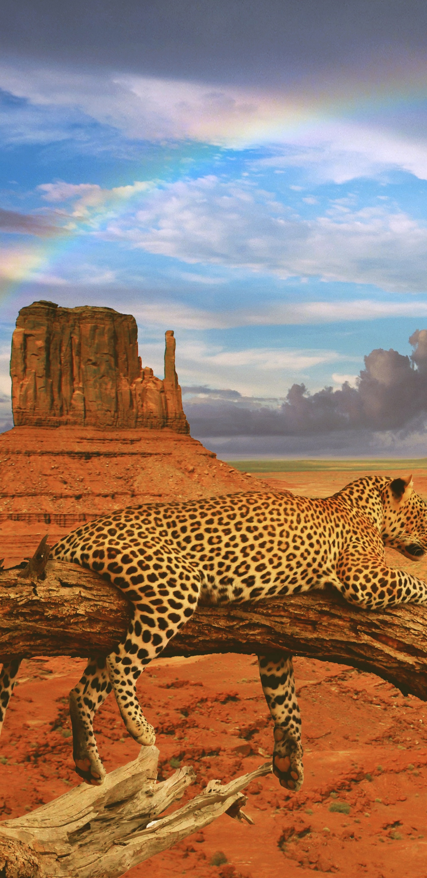 Обои долина монументов, бьютт, пейзаж, пустыня, облако в разрешении 1440x2960