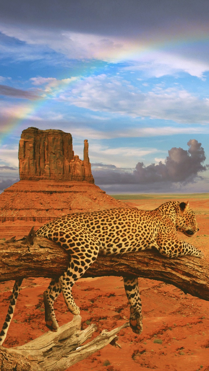 Обои долина монументов, бьютт, пейзаж, пустыня, облако в разрешении 720x1280