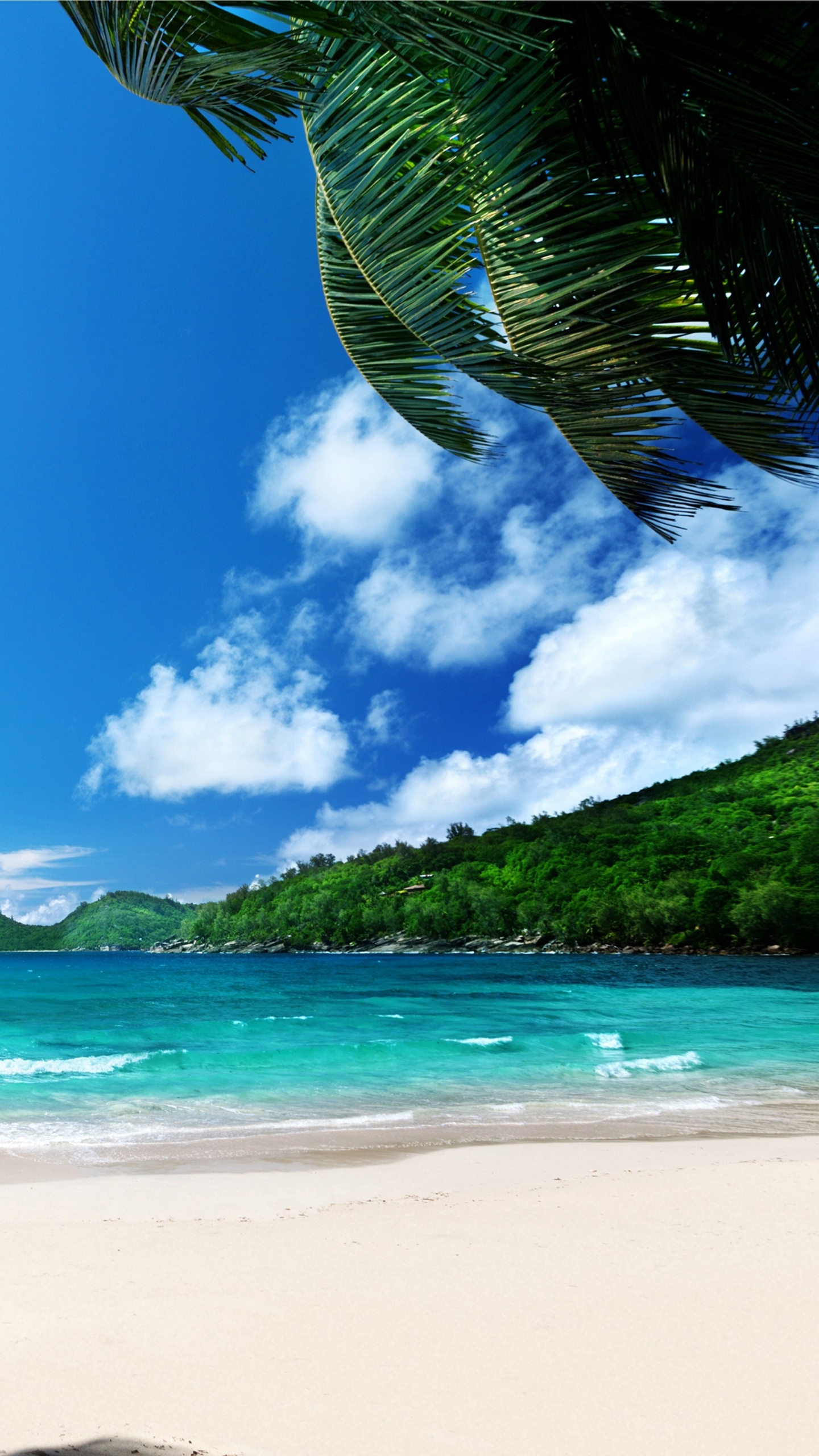 Обои пляж, море, побережье, берег, океан в разрешении 1440x2560