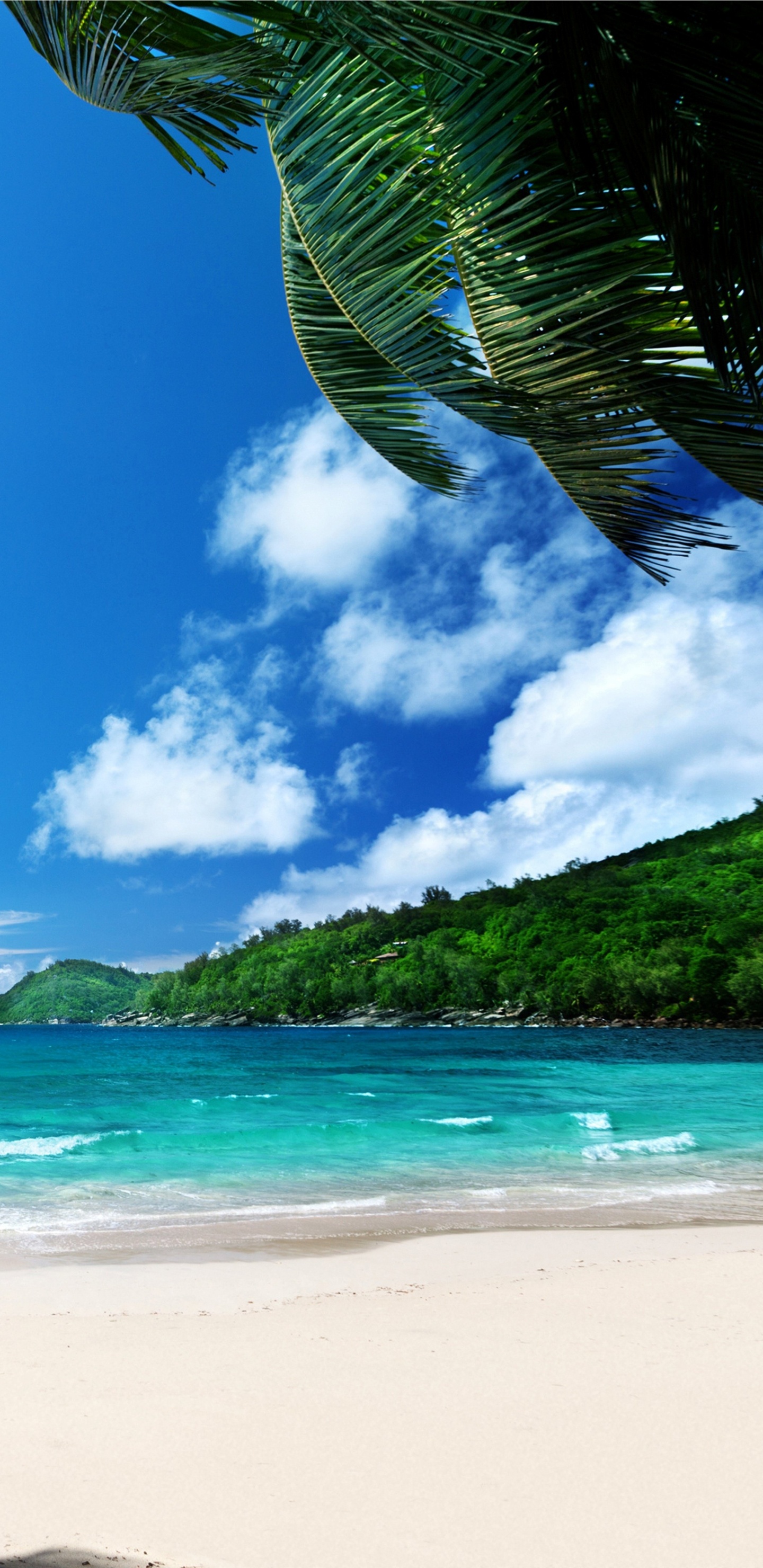 Обои пляж, море, побережье, берег, океан в разрешении 1440x2960