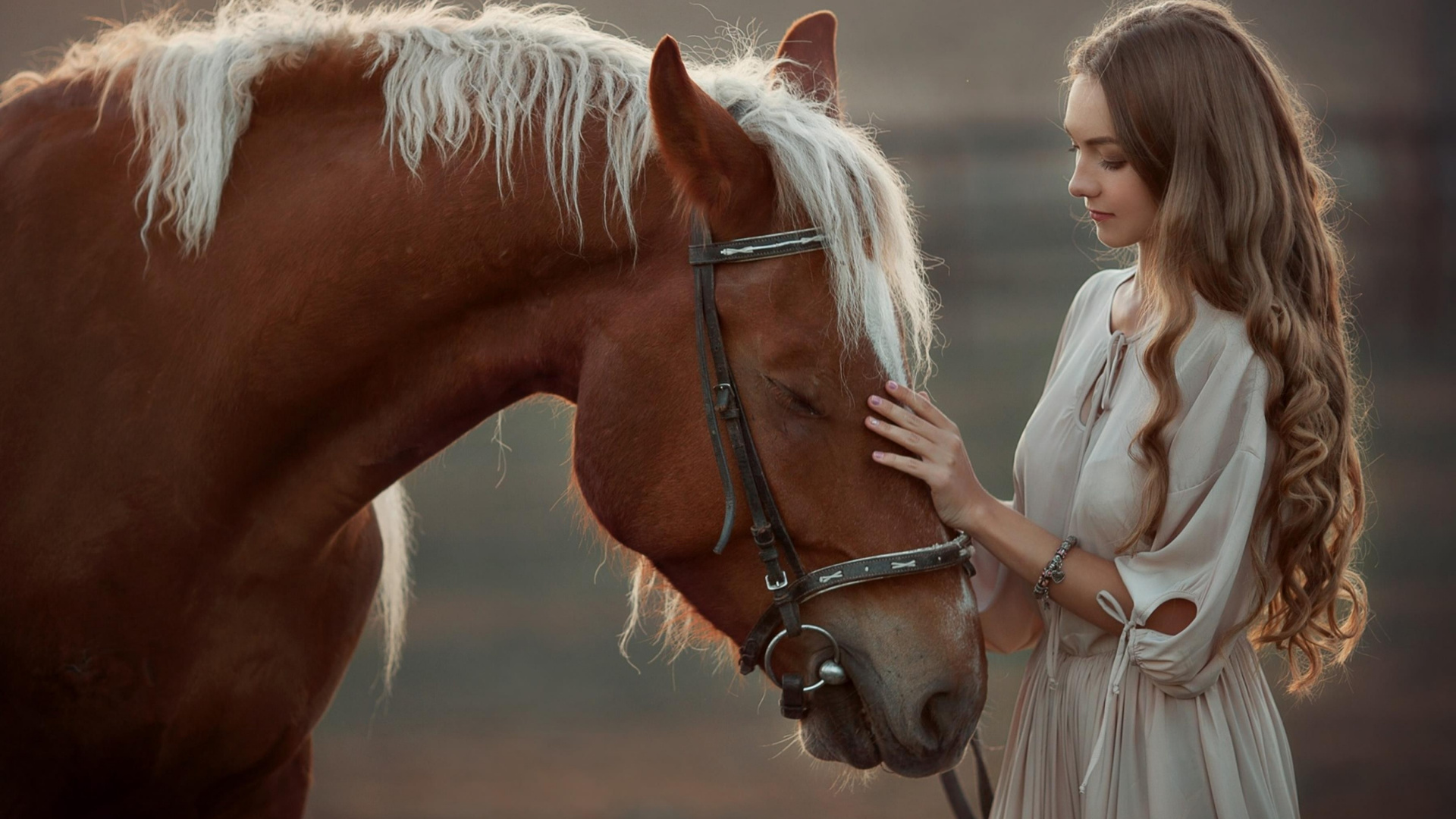 Обои девушка с лошадью, белая лошадь, Арабская лошадь, пони, волосы в разрешении 1920x1080