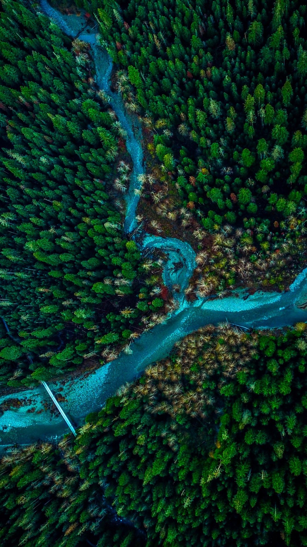 Обои растительность, зеленый, подземные воды, лист, вода в разрешении 1080x1920