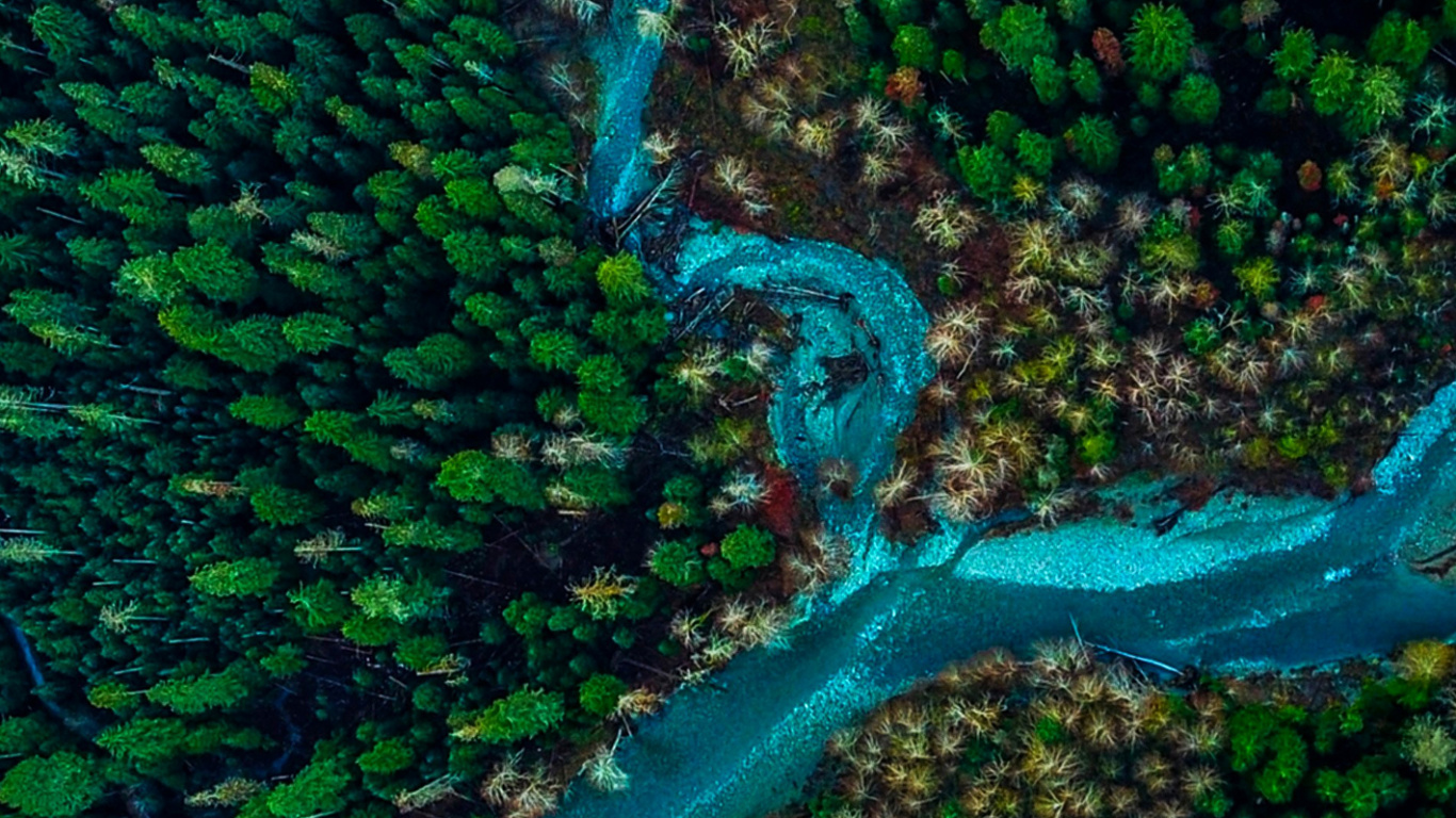 Обои растительность, зеленый, подземные воды, лист, вода в разрешении 1366x768