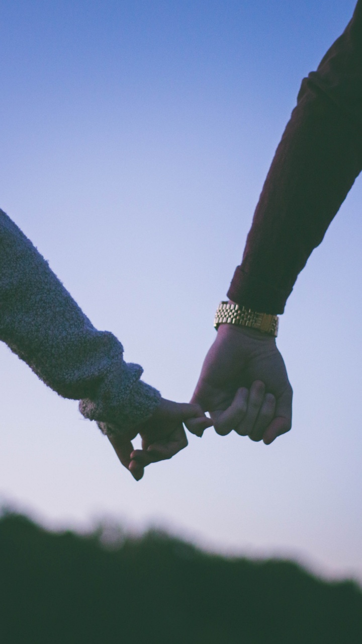 Обои лист, растение, ветвь, дерево, жест в разрешении 720x1280