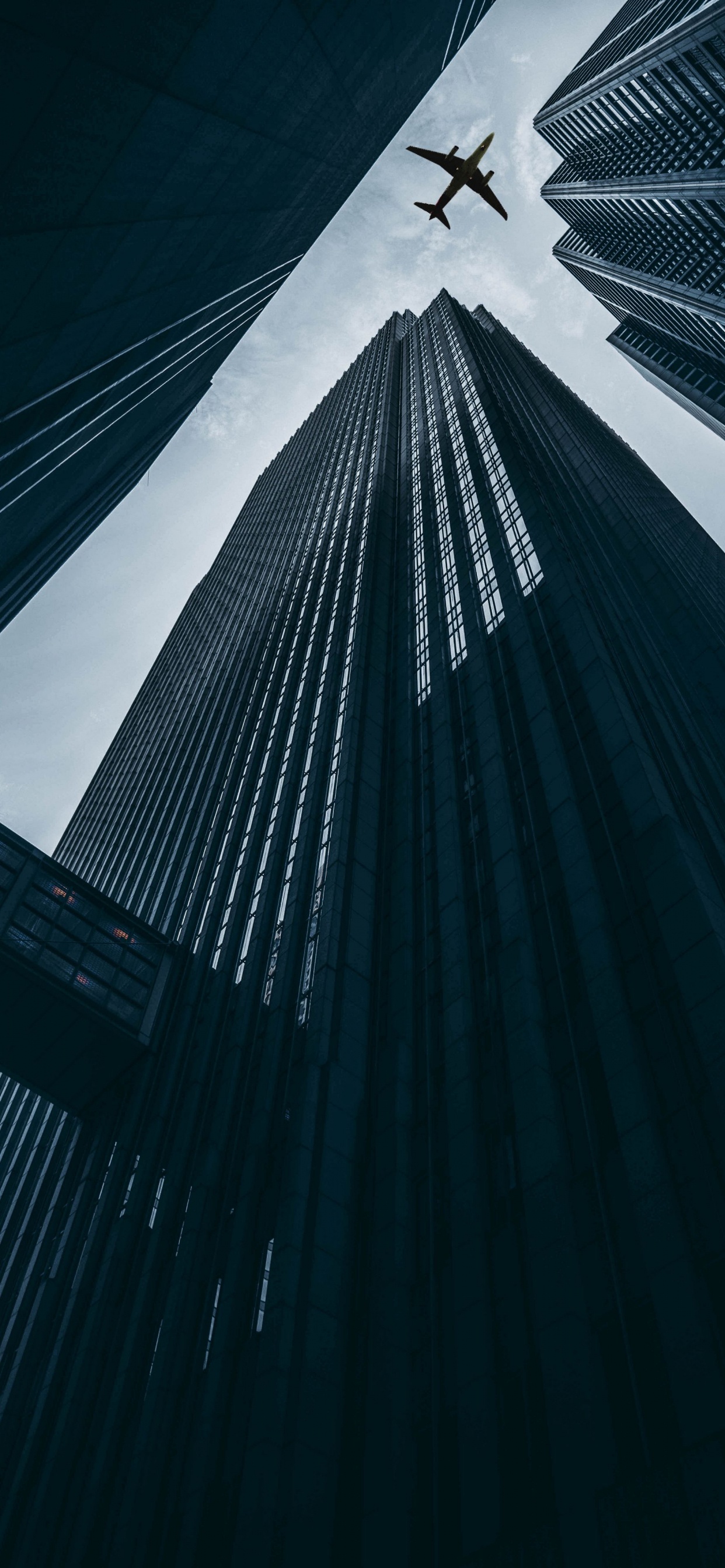 Обои самолет, полет, самолеты, аэропорт, авиакомпания в разрешении 1242x2688