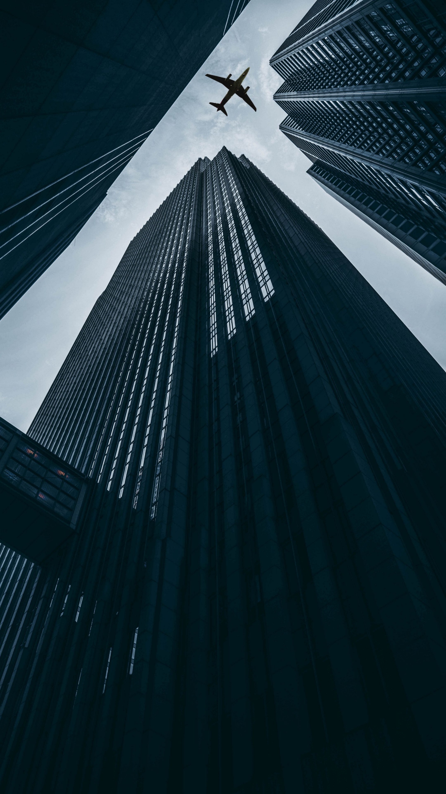 Обои самолет, полет, самолеты, аэропорт, авиакомпания в разрешении 1440x2560