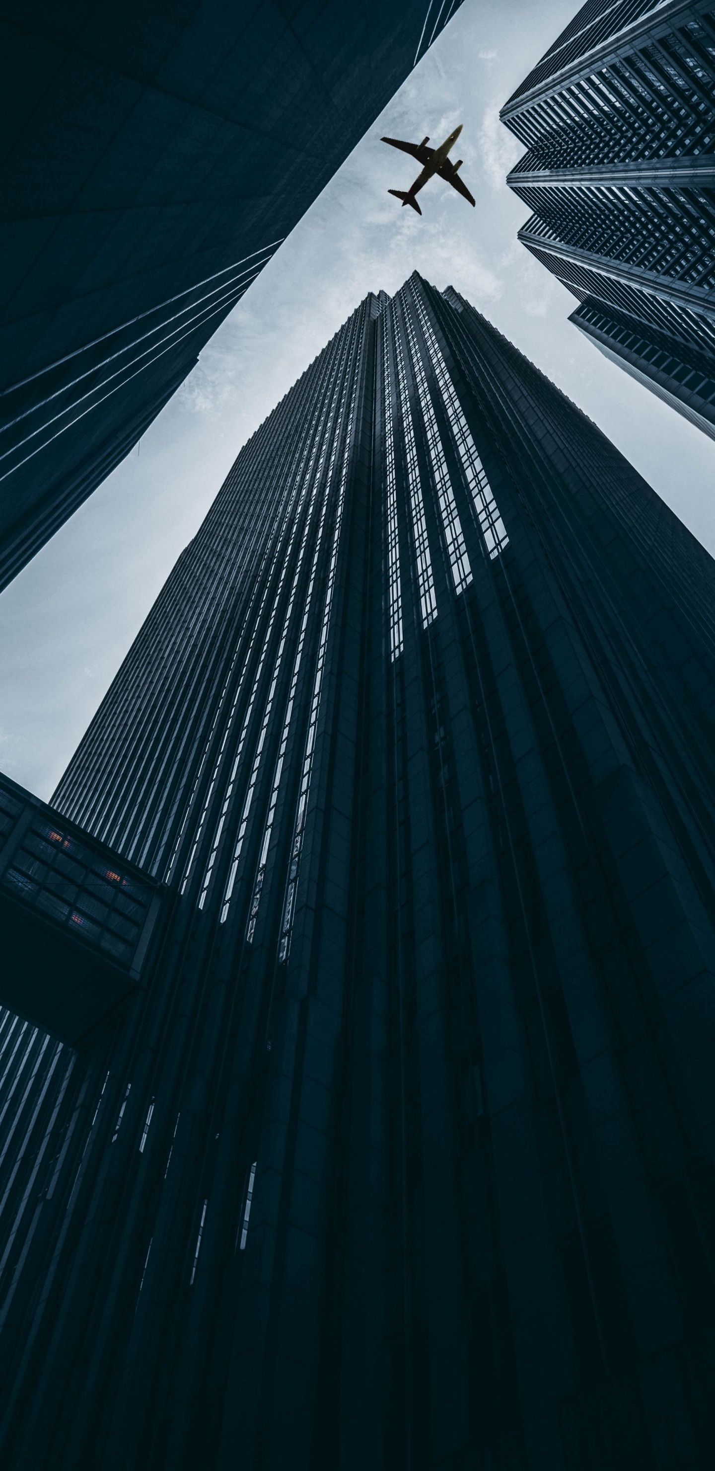 Обои самолет, полет, самолеты, аэропорт, авиакомпания в разрешении 1440x2960