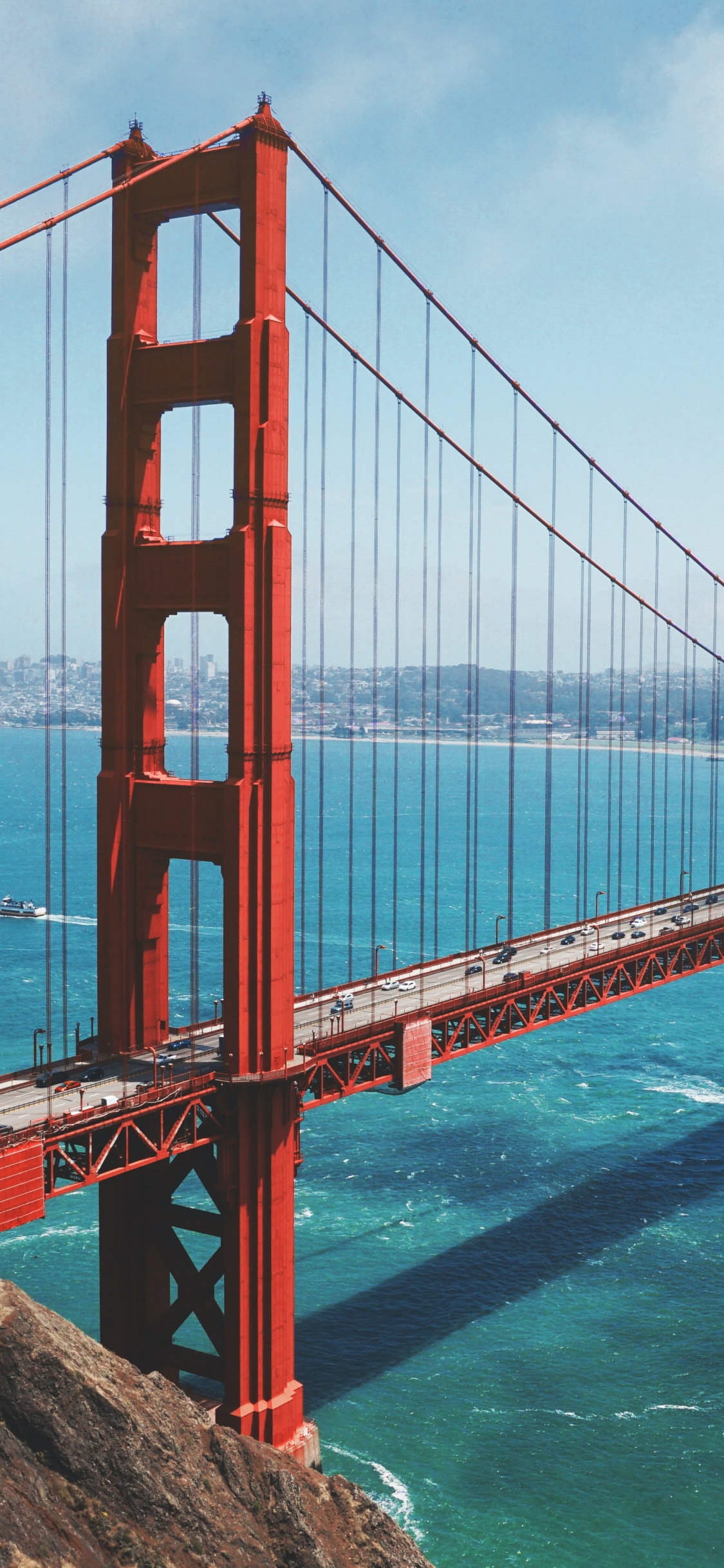 Обои мост Golden Gate, Мьюир Вудс Национальный Памятник, отдых, путешествие, ориентир в разрешении 1125x2436