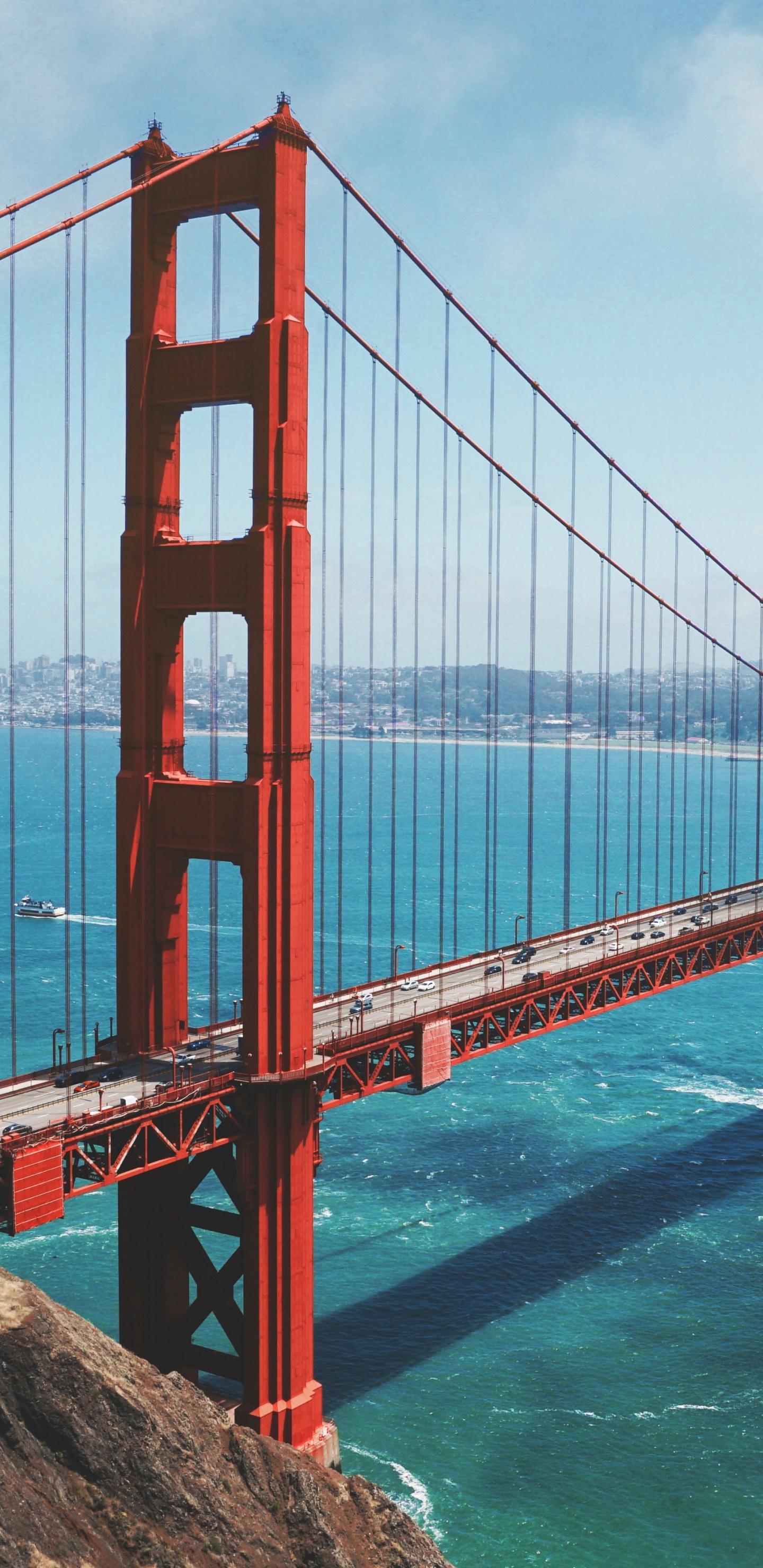 Обои мост Golden Gate, Мьюир Вудс Национальный Памятник, отдых, путешествие, ориентир в разрешении 1440x2960