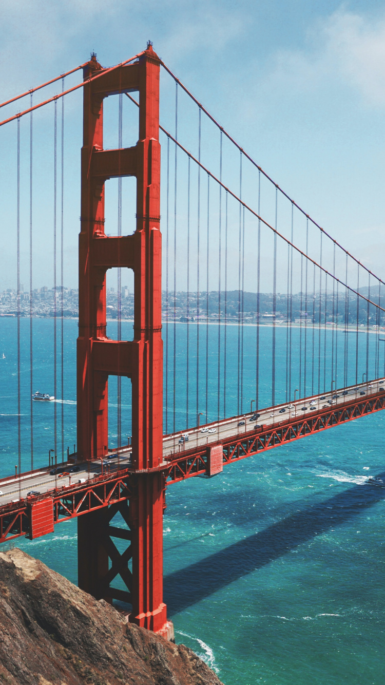 Обои мост Golden Gate, Мьюир Вудс Национальный Памятник, отдых, путешествие, ориентир в разрешении 750x1334