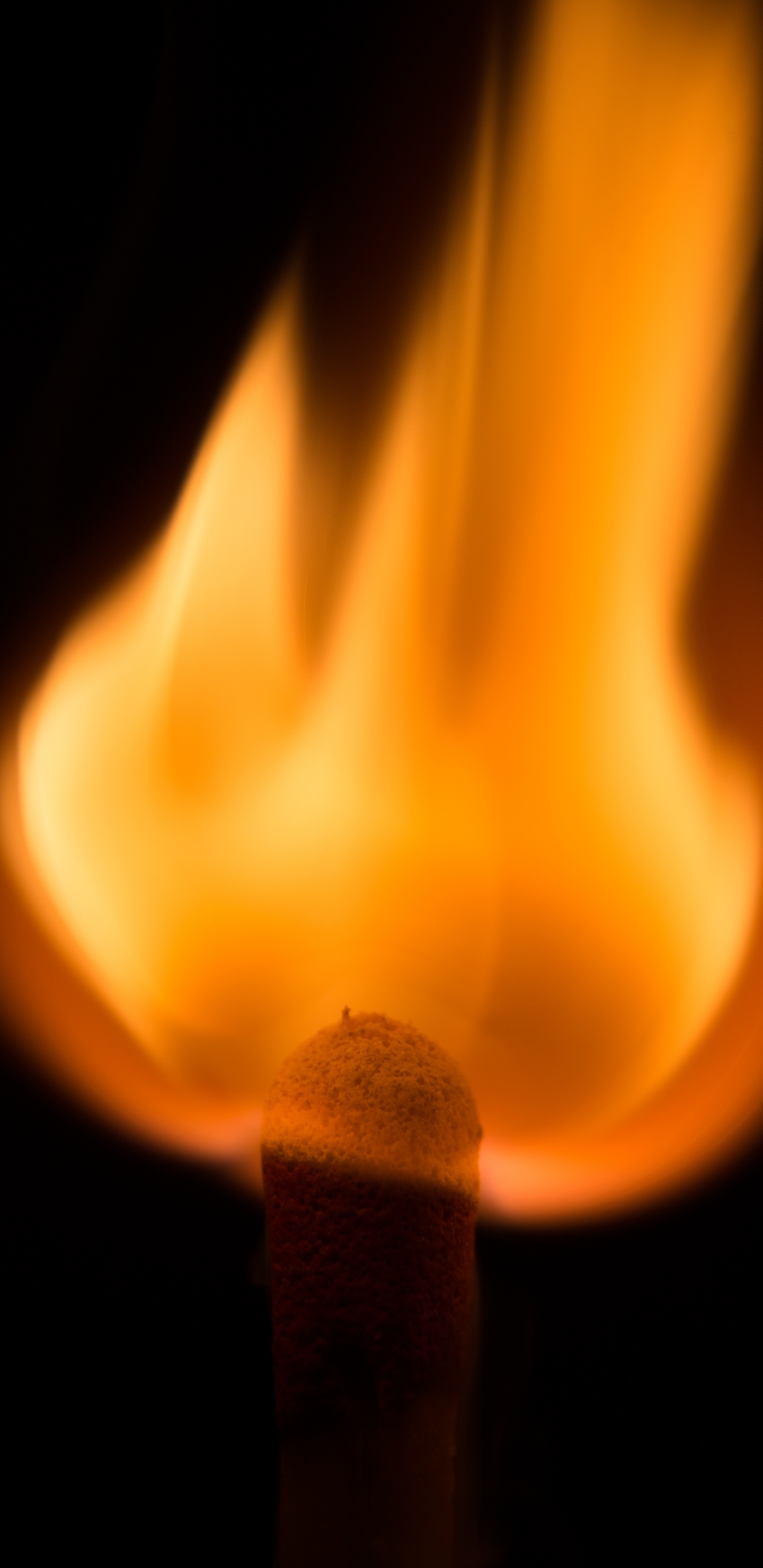 Обои огонь, пламя, спичка, тепло, смартфон в разрешении 1440x2960
