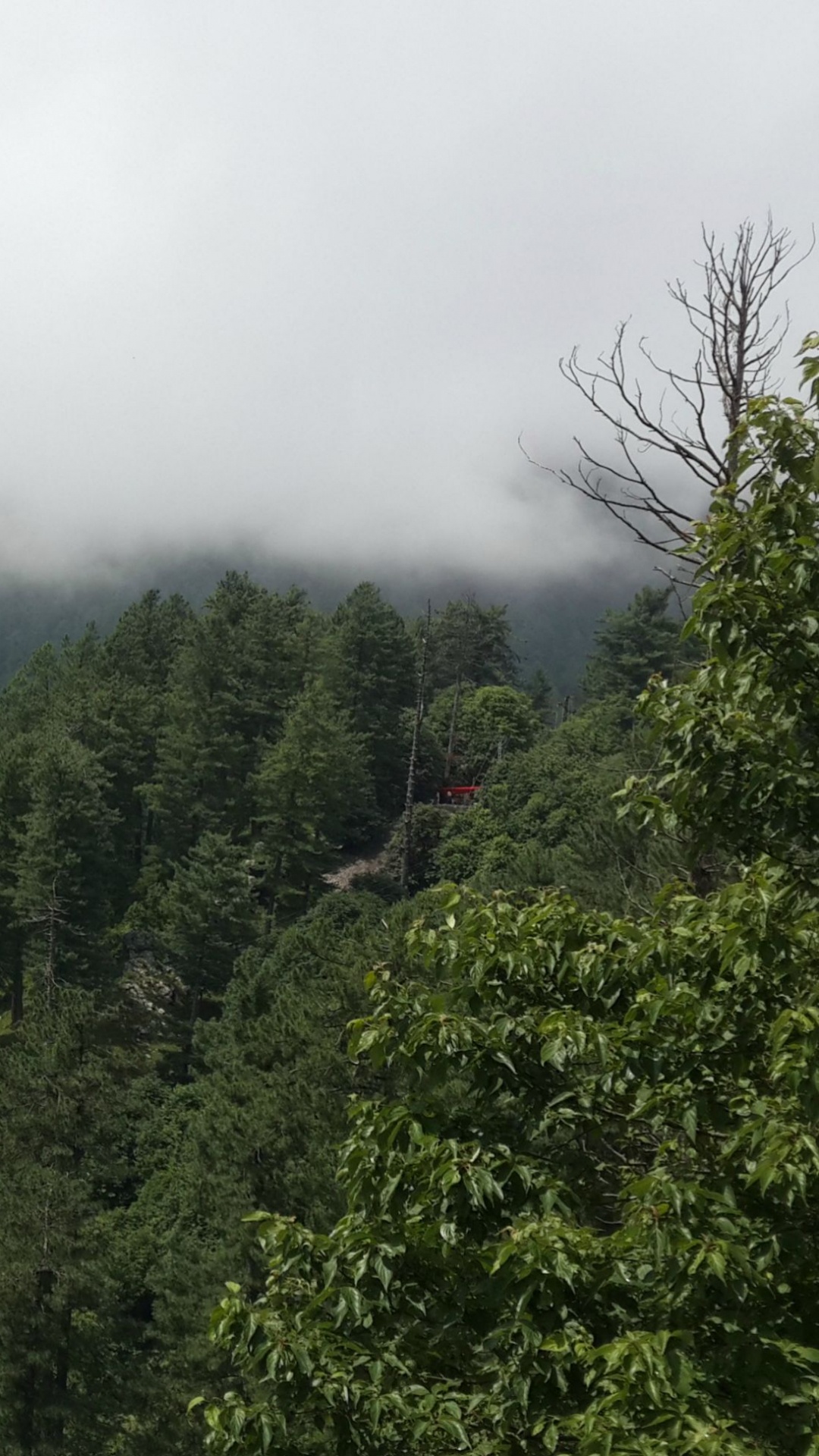 Обои горная станция, горный рельеф, гора, растительность, дикая местность в разрешении 1080x1920