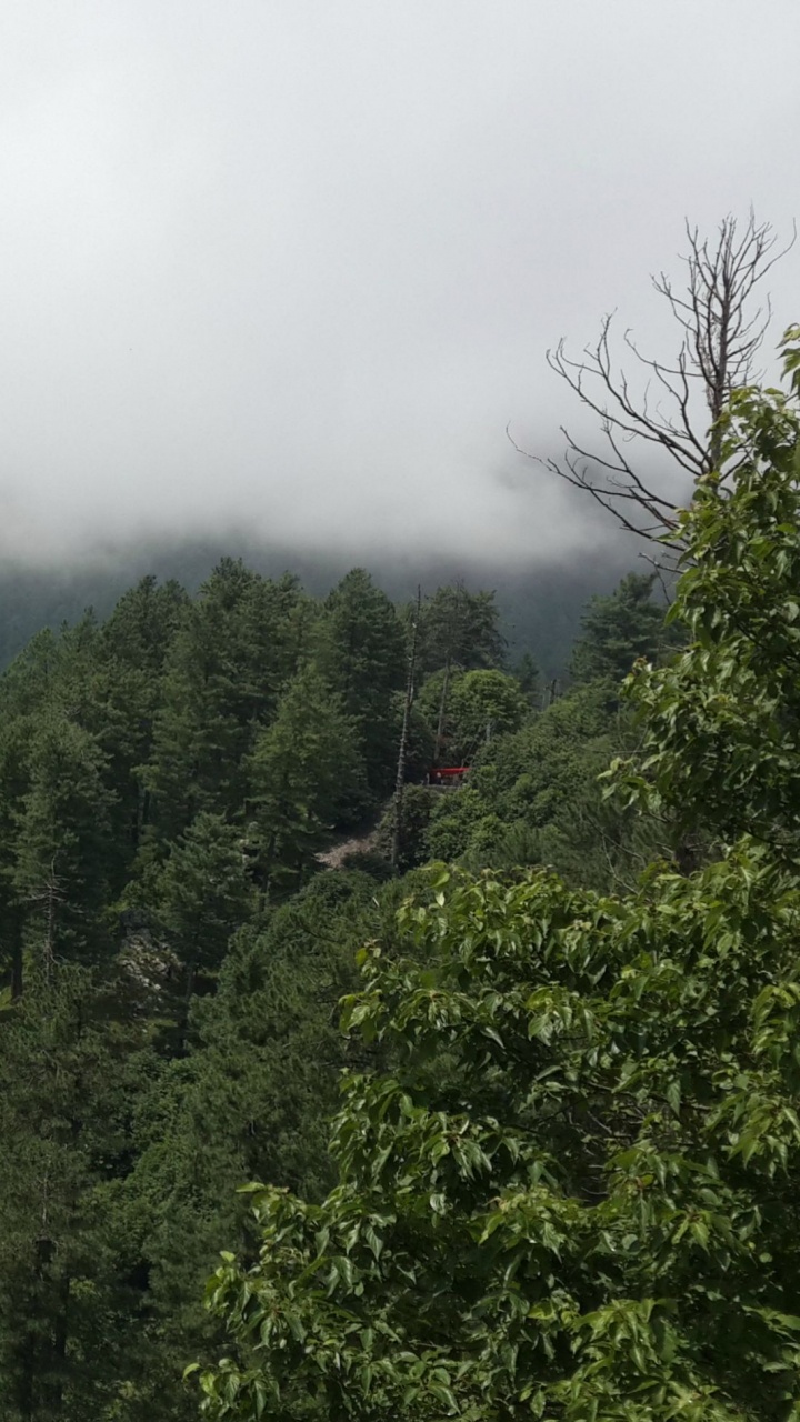 Обои горная станция, горный рельеф, гора, растительность, дикая местность в разрешении 720x1280