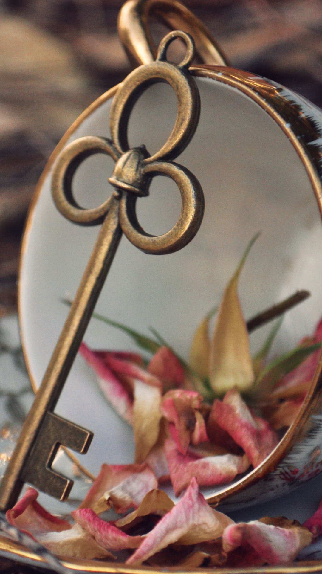 Обои растение, рождественский орнамент, орнамент, прут, праздничный орнамент в разрешении 1080x1920