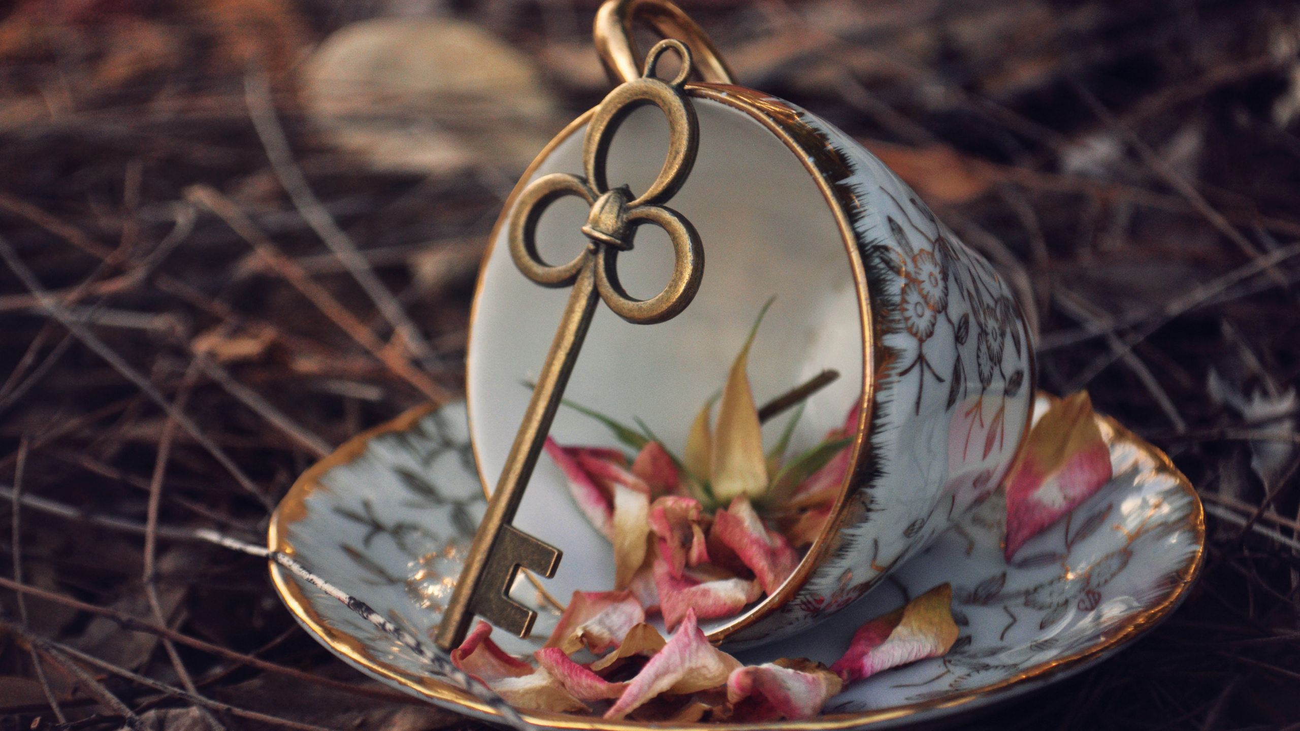 Обои растение, рождественский орнамент, орнамент, прут, праздничный орнамент в разрешении 2560x1440