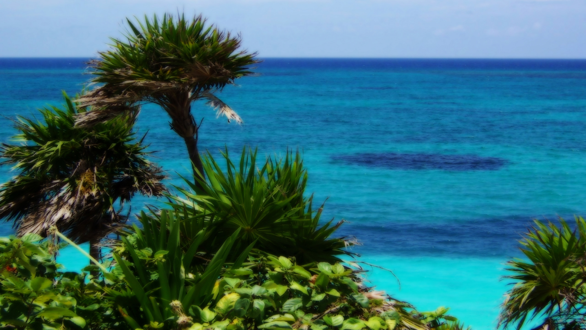 Обои Пляж Тулума, Тулум, Сапсъп, пляж, море в разрешении 1920x1080