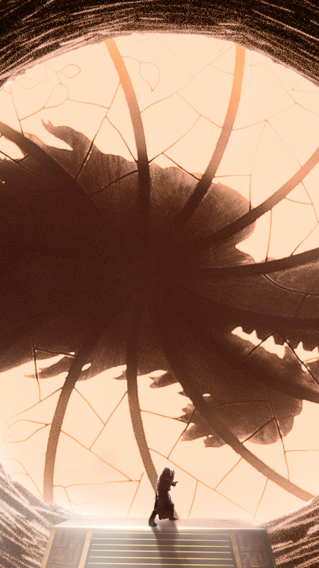 Обои волосы, глаз, свет, бровь, орган в разрешении 1080x1920