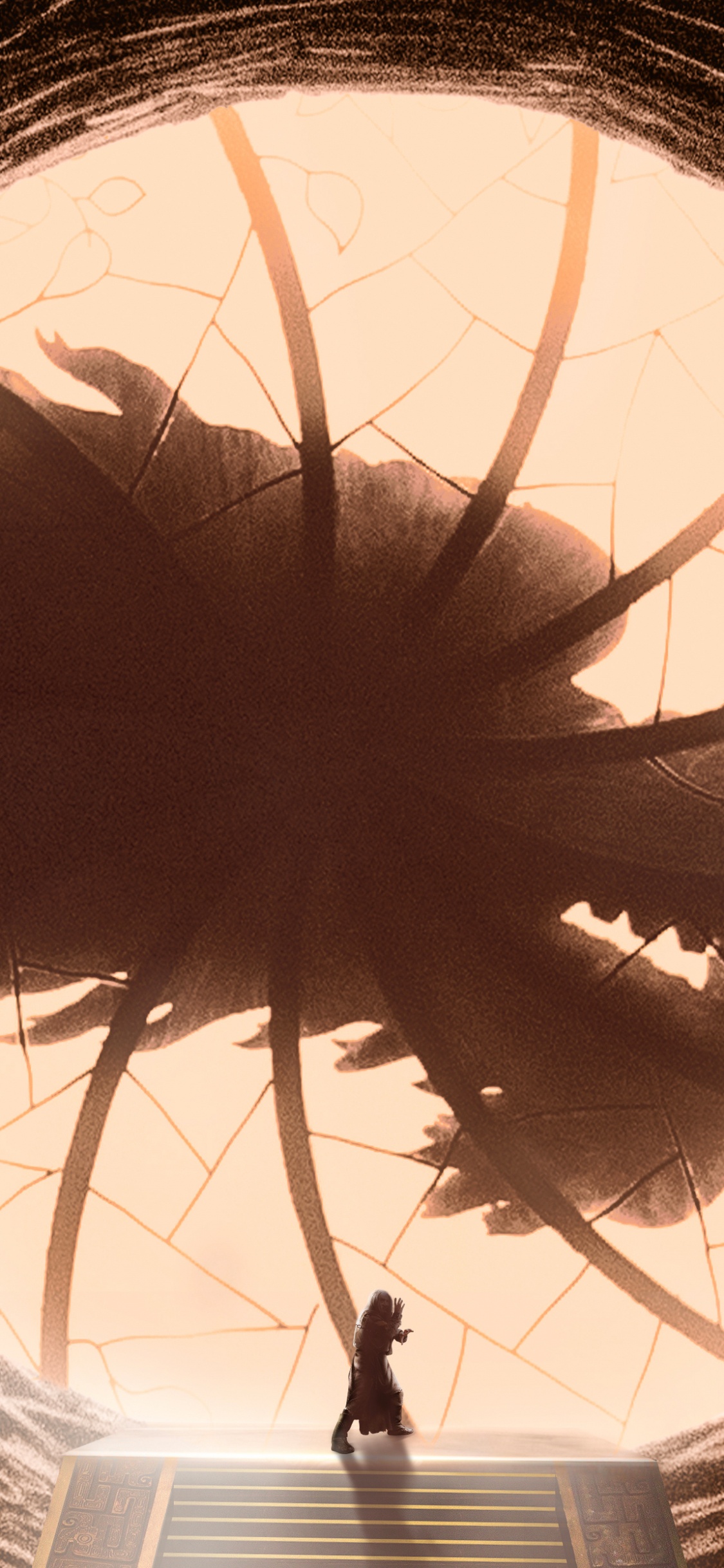 Обои волосы, глаз, свет, бровь, орган в разрешении 1125x2436