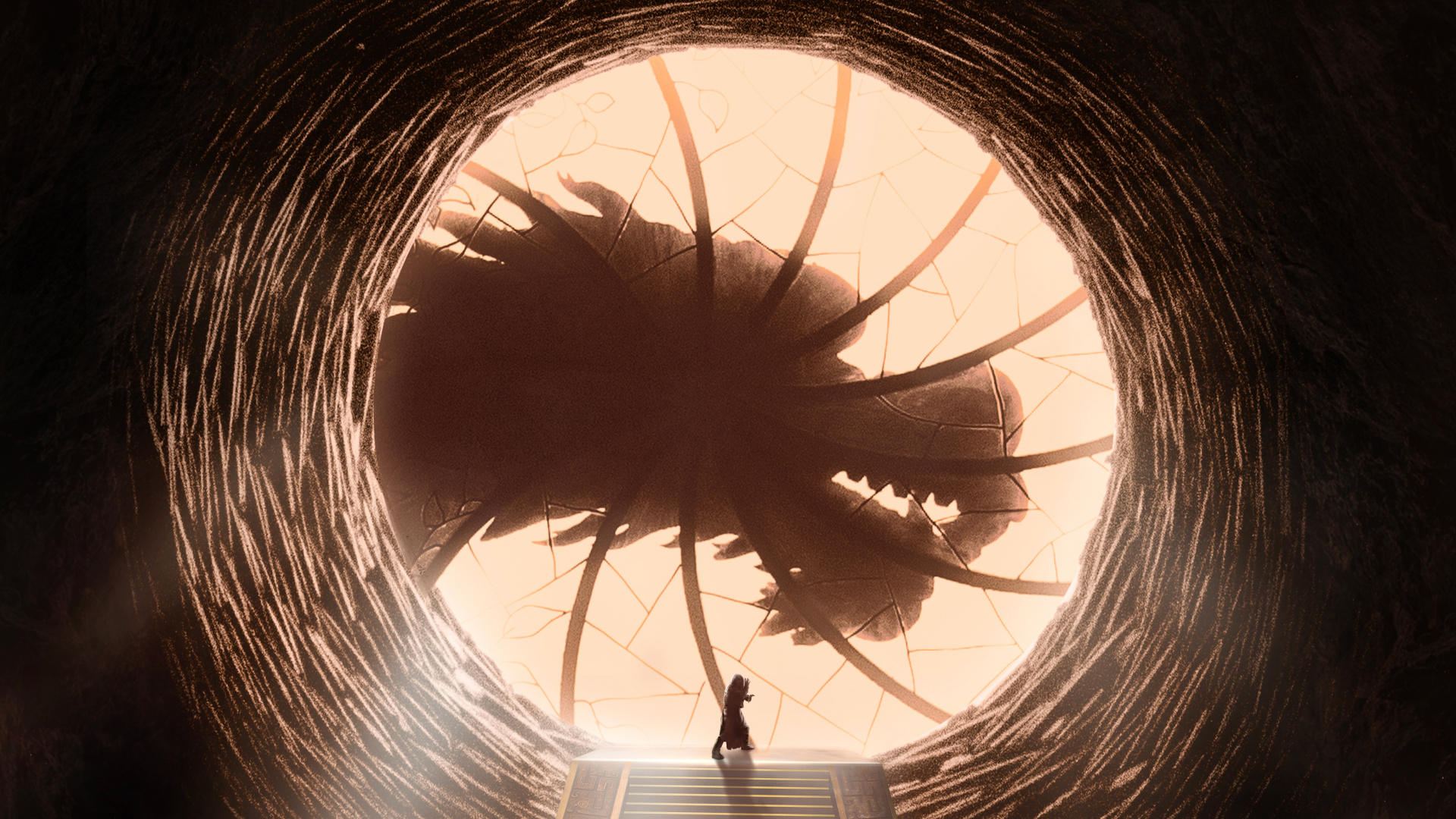 Обои волосы, глаз, свет, бровь, орган в разрешении 1920x1080