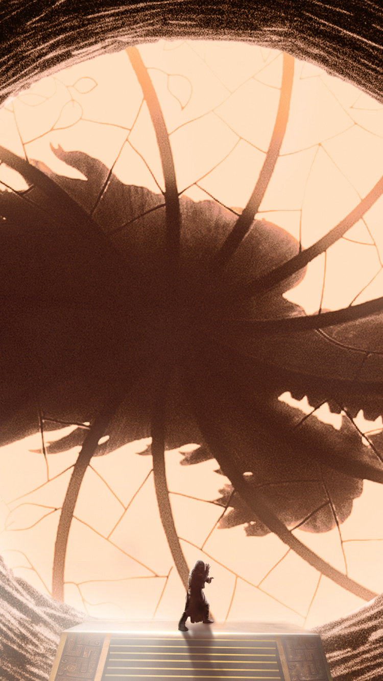 Обои волосы, глаз, свет, бровь, орган в разрешении 750x1334