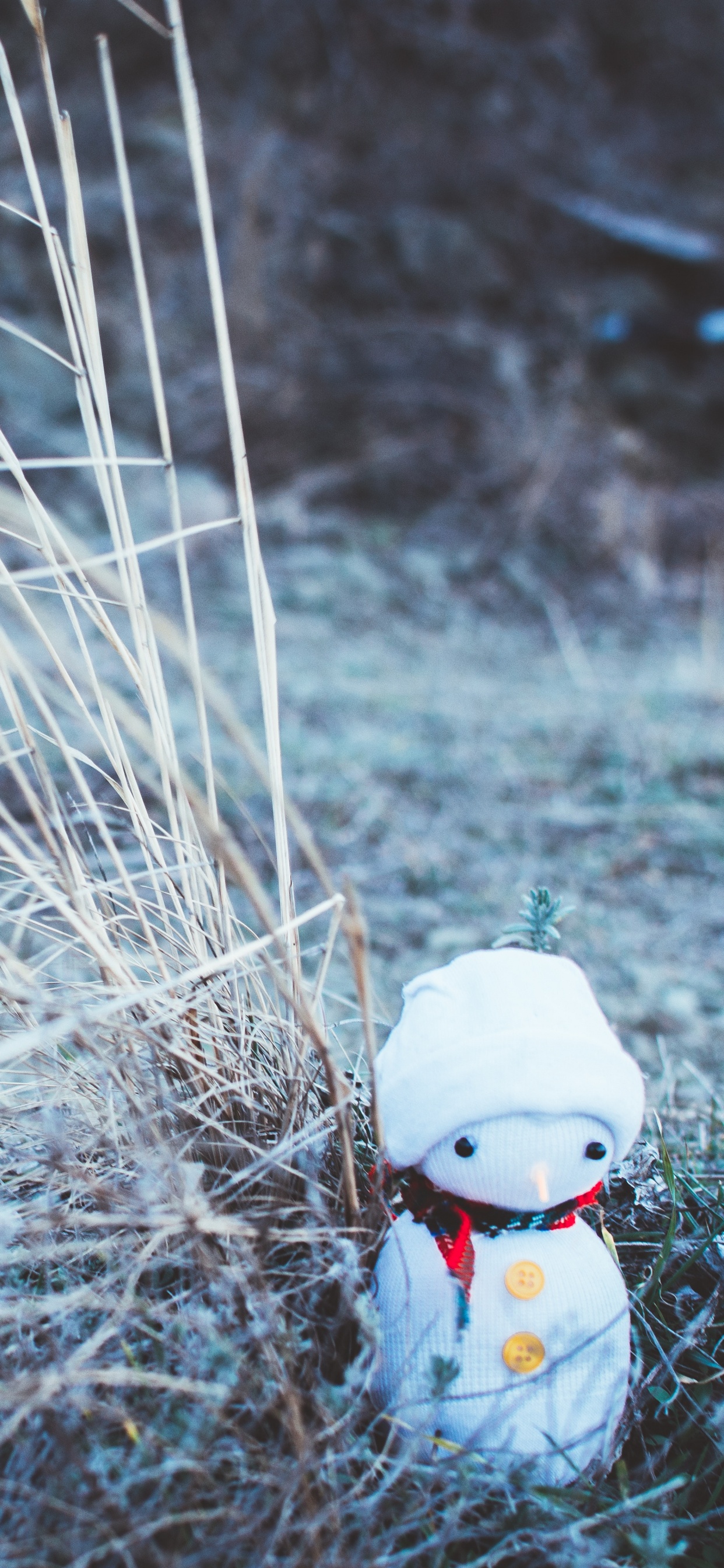 Обои Снеговик, Новый год, Рождественский день, вода, семейство травы в разрешении 1242x2688