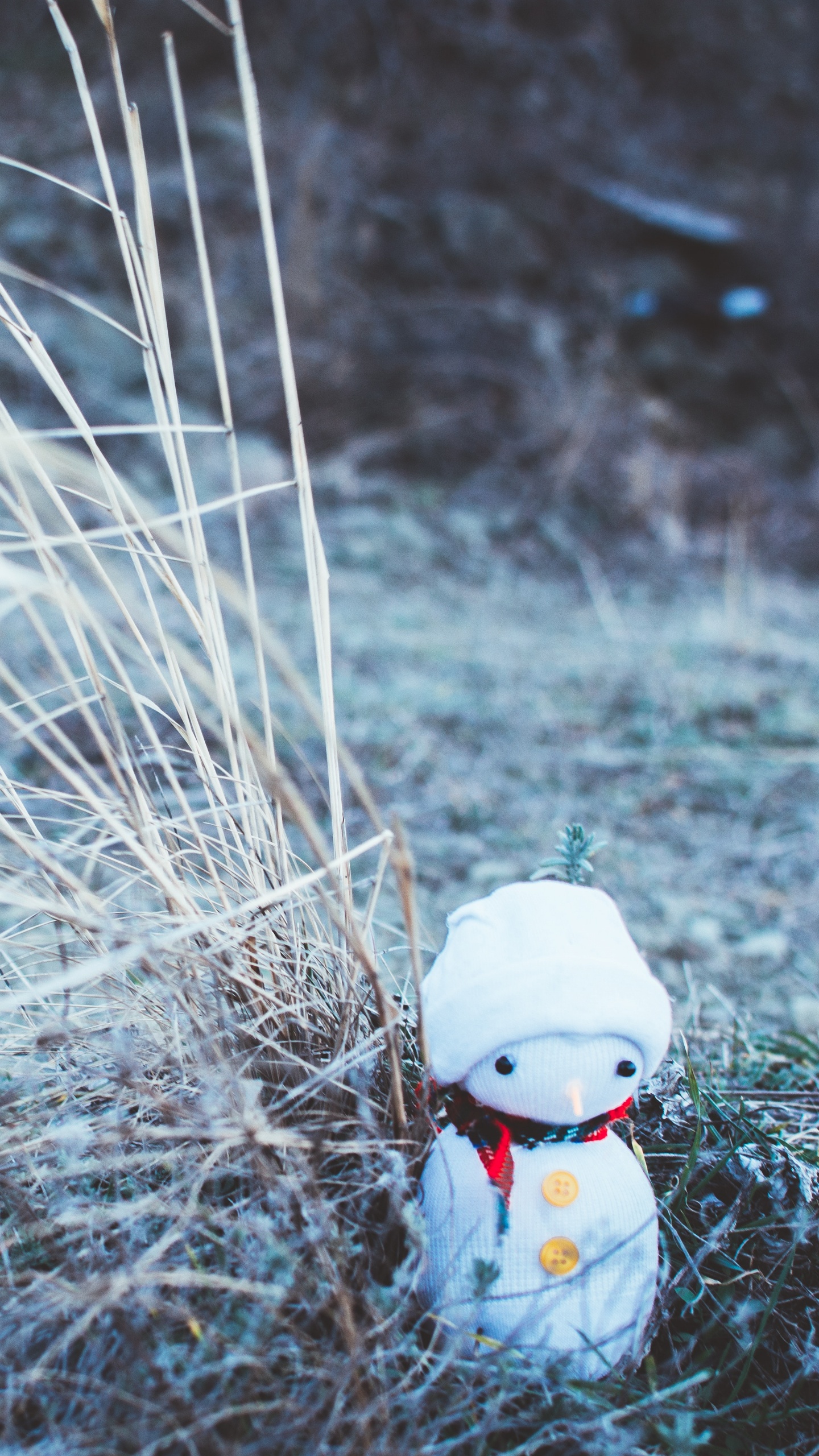 Обои Снеговик, Новый год, Рождественский день, вода, семейство травы в разрешении 1440x2560