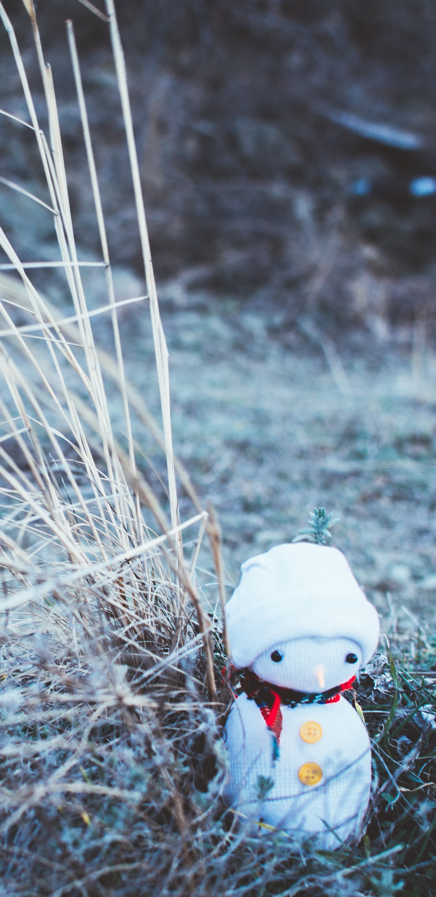 Обои Снеговик, Новый год, Рождественский день, вода, семейство травы в разрешении 1440x2960