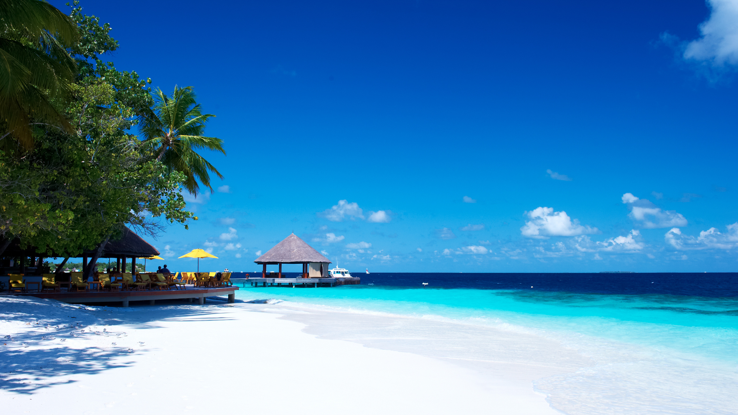 Обои прибежище, пляж, курортный остров, Остров, тропическая зона в разрешении 2560x1440