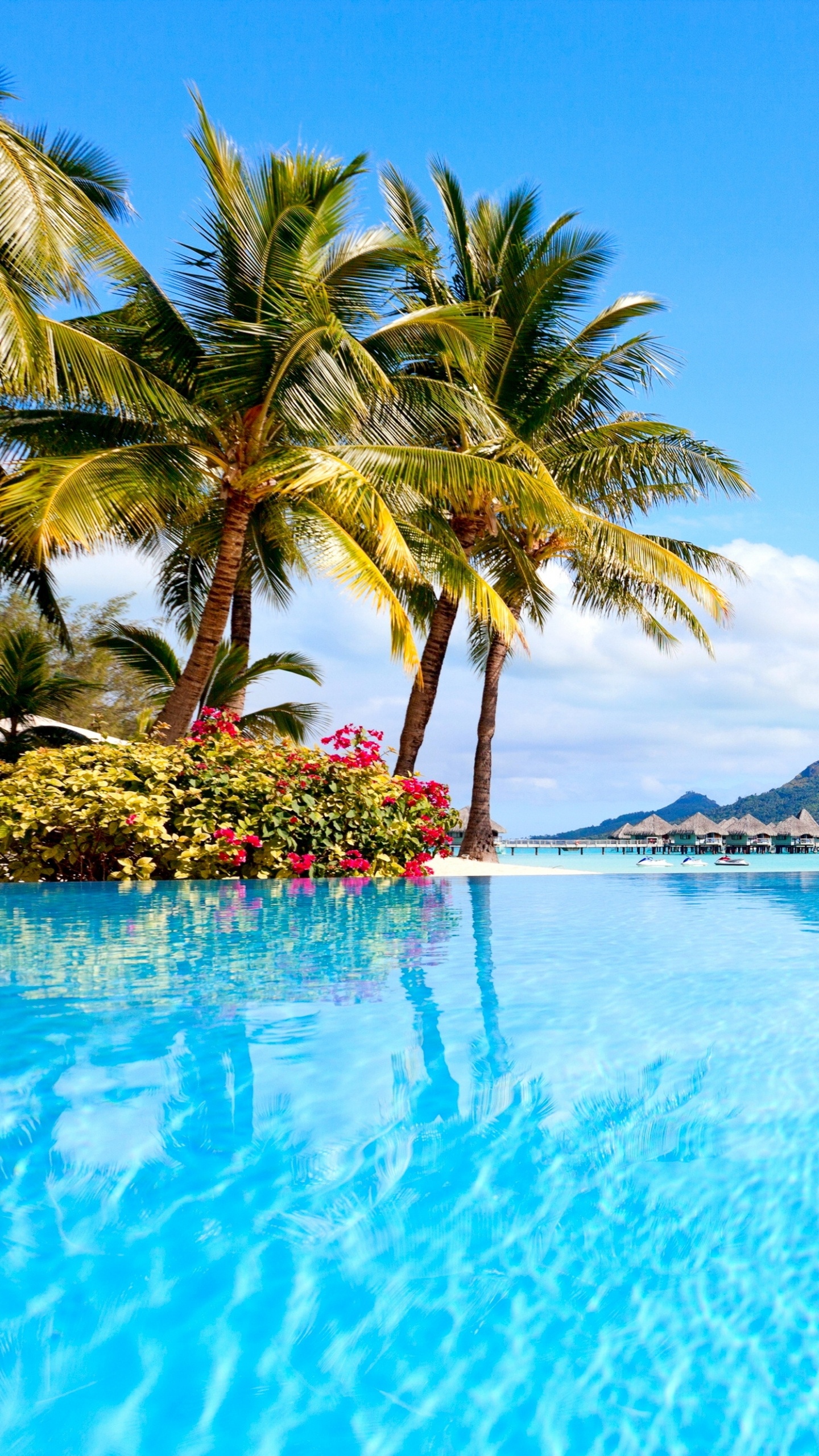 Обои пляж, море, природа, тропическая зона, природный ландшафт в разрешении 1440x2560