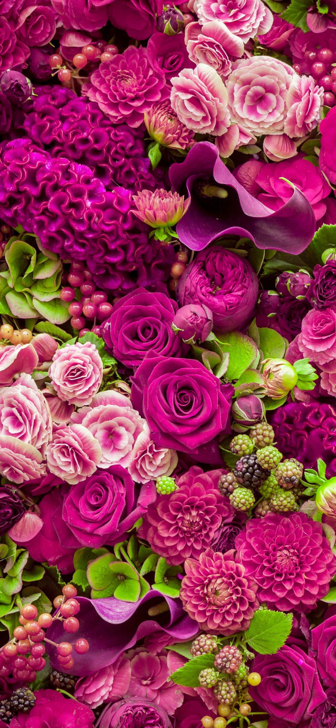 Обои красивые розовые цветы, цветок, Роза, розовый, цветочный букет в разрешении 1125x2436
