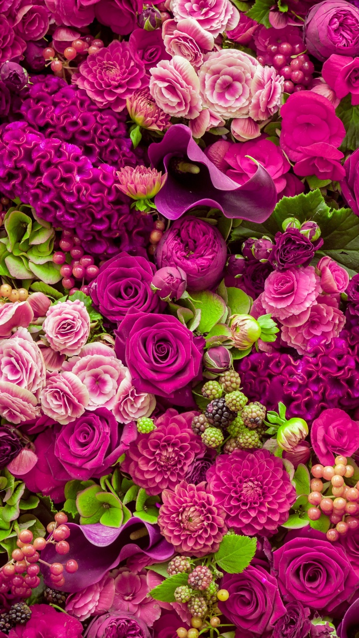 Обои красивые розовые цветы, цветок, Роза, розовый, цветочный букет в разрешении 720x1280