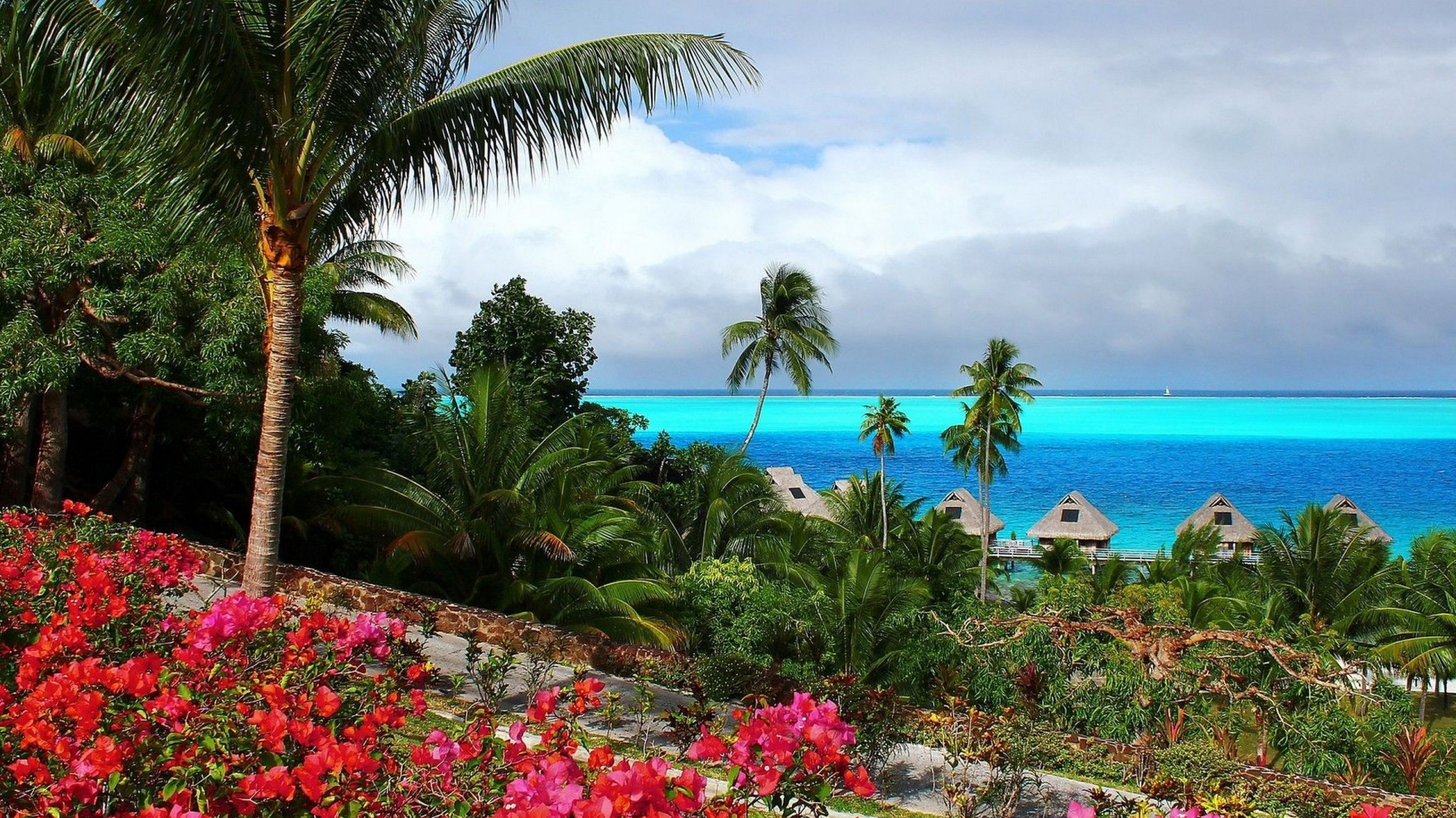 Обои природа, тропическая зона, растительность, Карибский бассейн, прибежище в разрешении 1920x1080