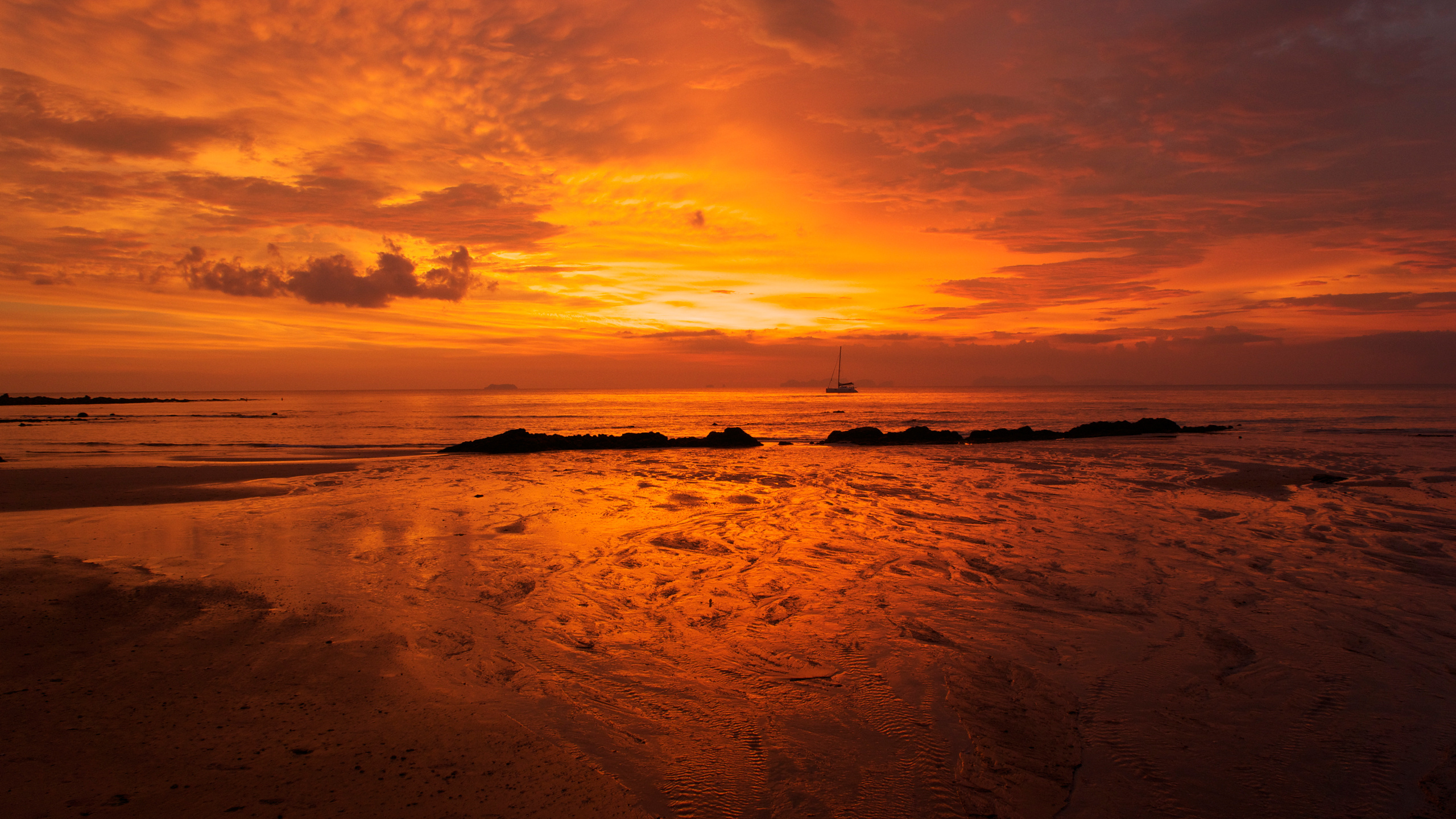 Обои закат, послесвечение, горизонт, море, восход солнца в разрешении 2560x1440