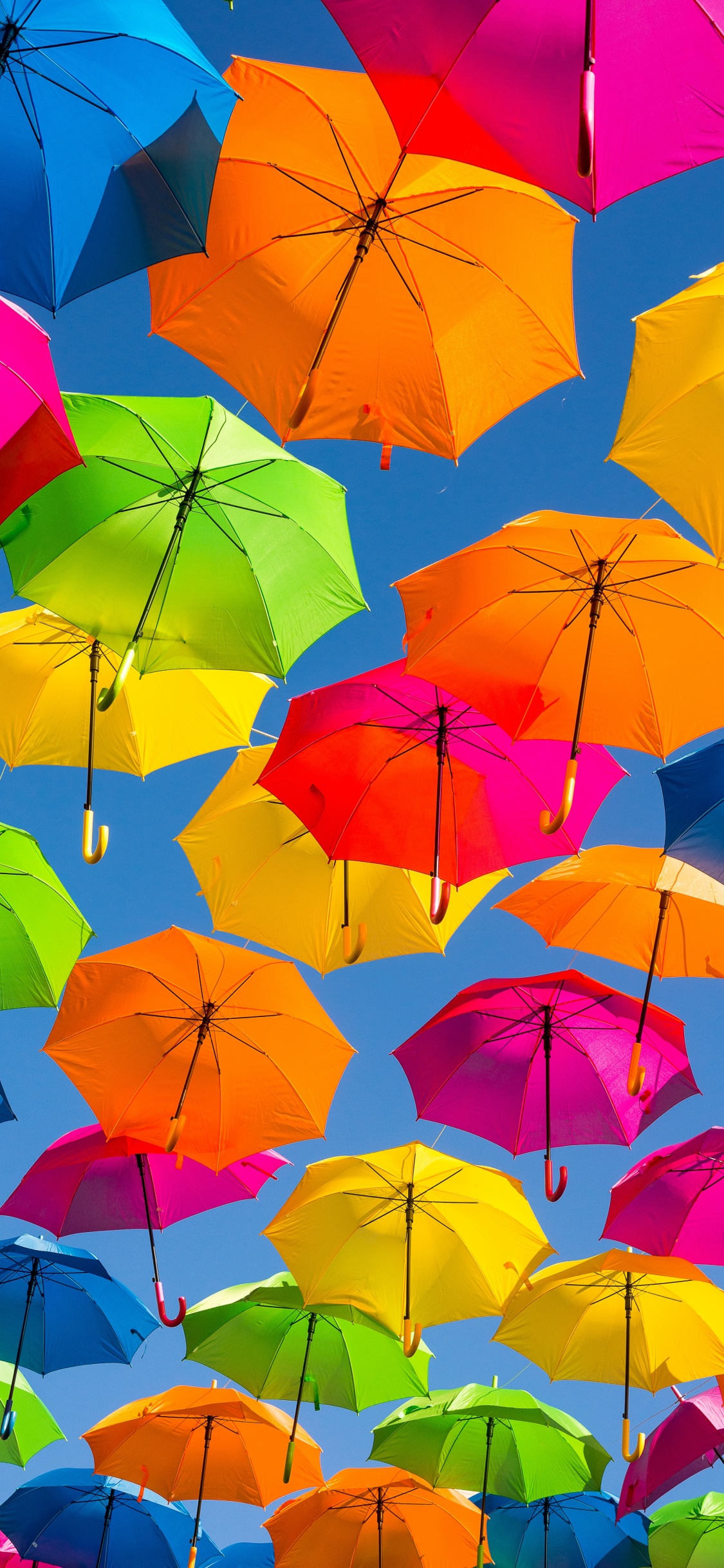 Обои зонтик, Апельсин, лист, желтый, красочность в разрешении 1125x2436