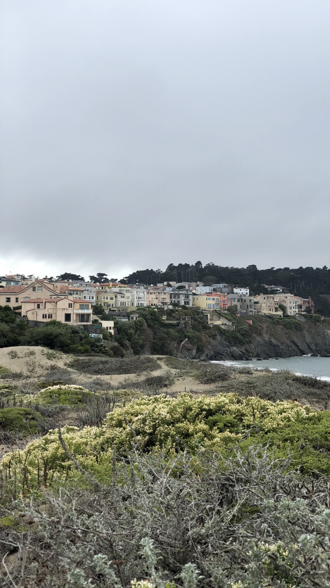 Обои побережье, наука, биология, растительность, растительное сообщество в разрешении 1080x1920