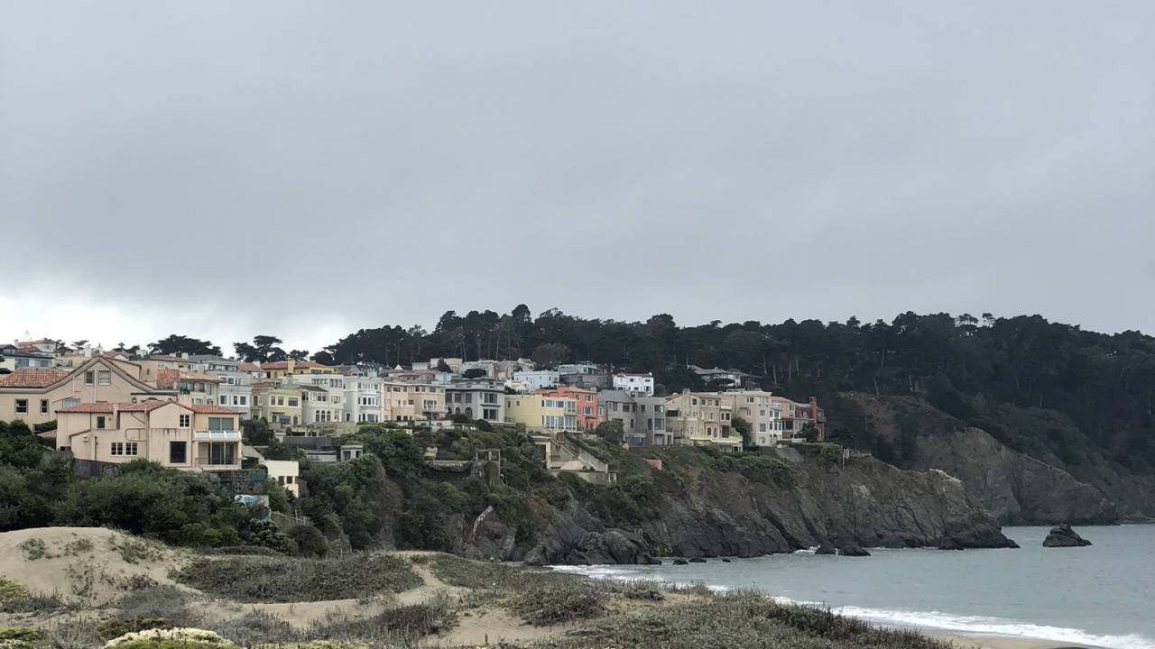 Обои побережье, наука, биология, растительность, растительное сообщество в разрешении 1280x720