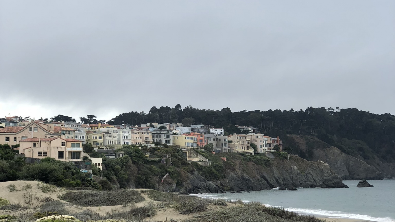 Обои побережье, наука, биология, растительность, растительное сообщество в разрешении 1366x768