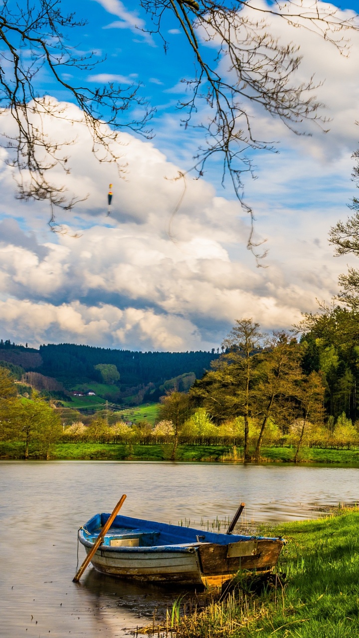 Обои природа, дерево, вода, облако, озеро в разрешении 720x1280