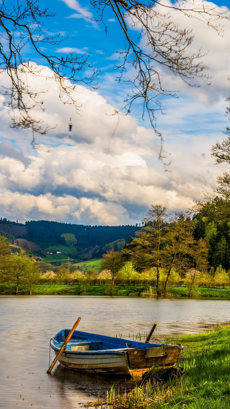 Обои природа, дерево, вода, облако, озеро в разрешении 750x1334