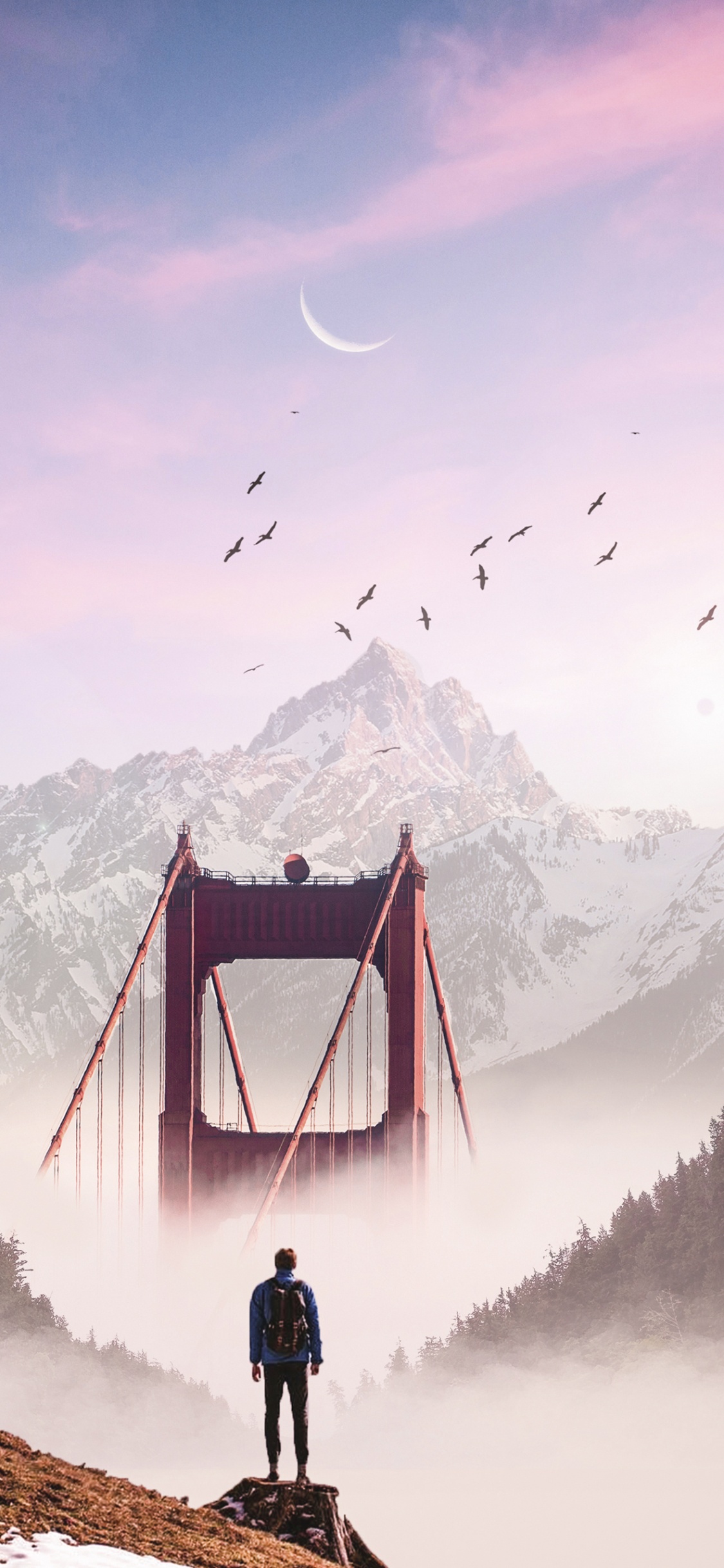 Обои облако, гора, птица, снег, природа в разрешении 1125x2436