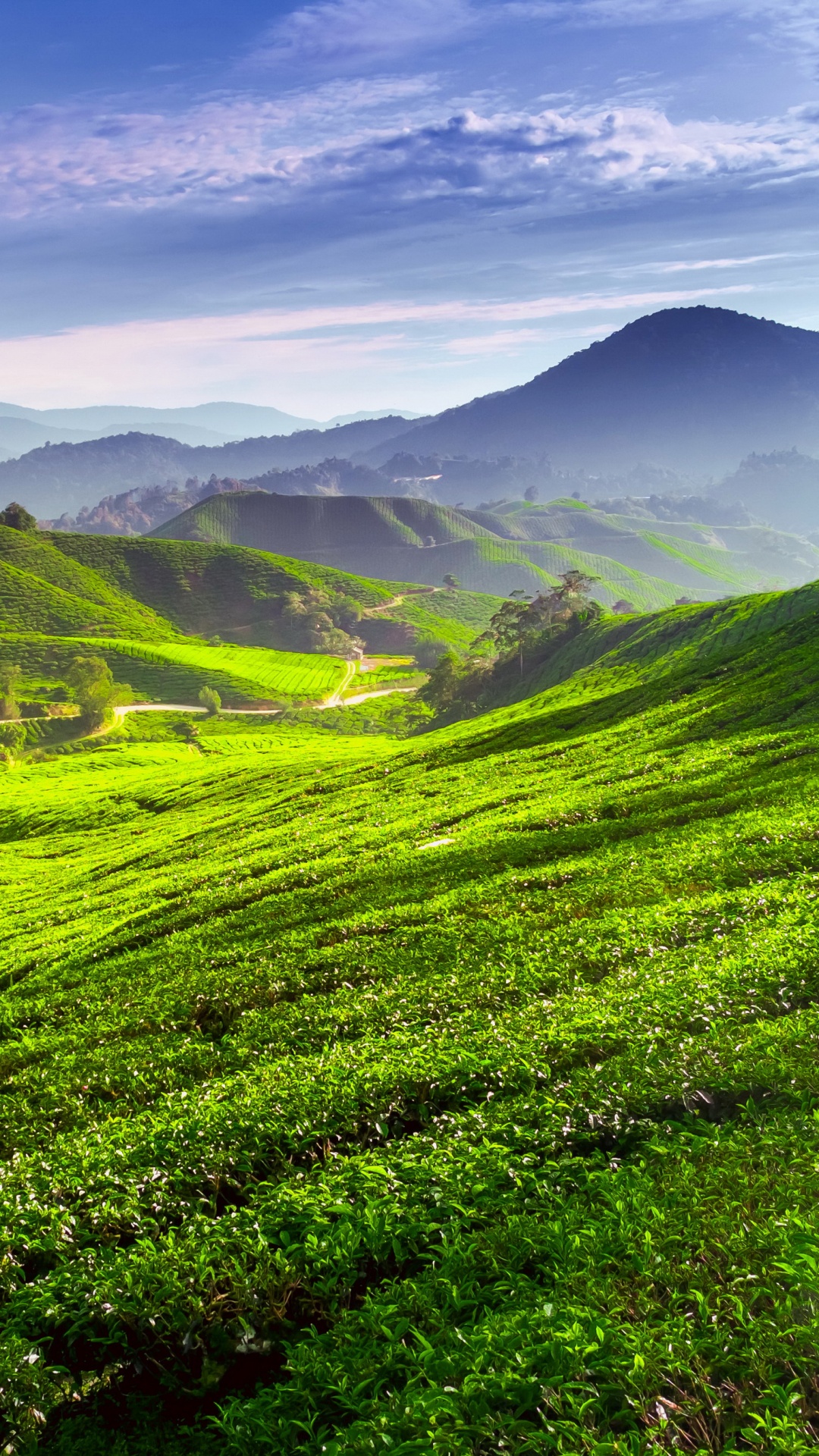 Обои нагорье, природа, горный рельеф, горная станция, растительность в разрешении 1080x1920