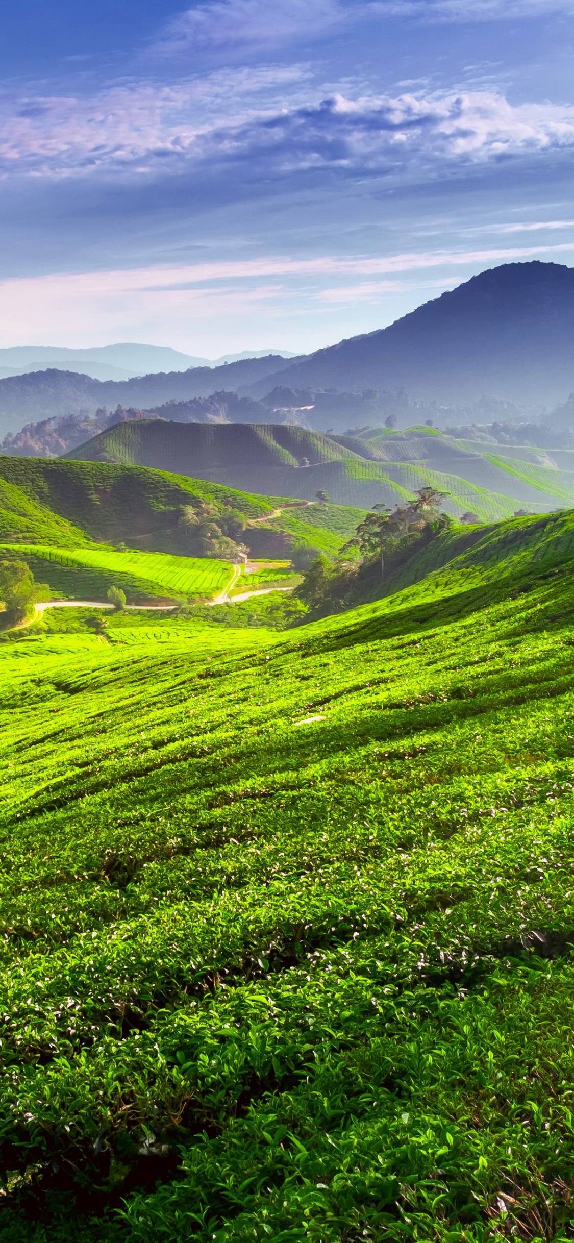 Обои нагорье, природа, горный рельеф, горная станция, растительность в разрешении 1125x2436