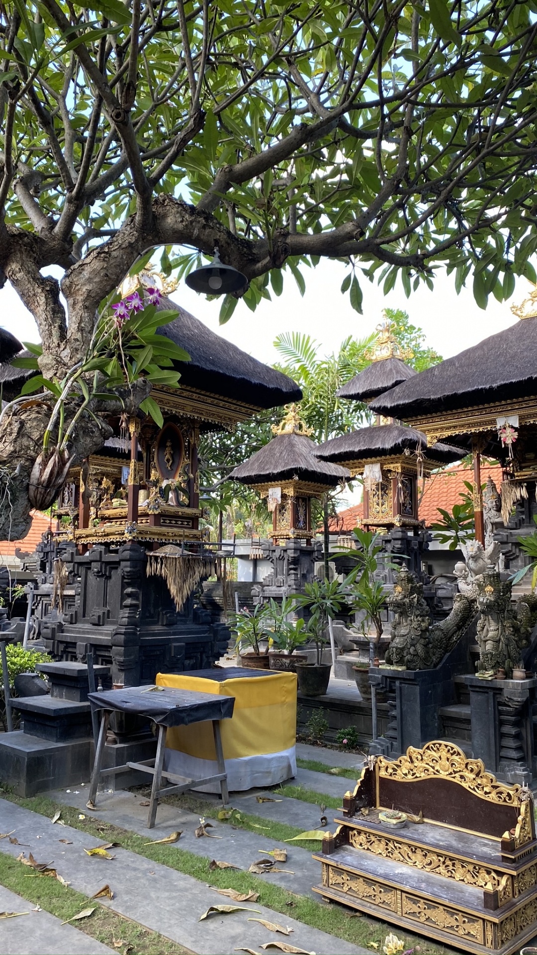 Обои бали, дерево, синтоистский храм, крыша, сад в разрешении 1080x1920