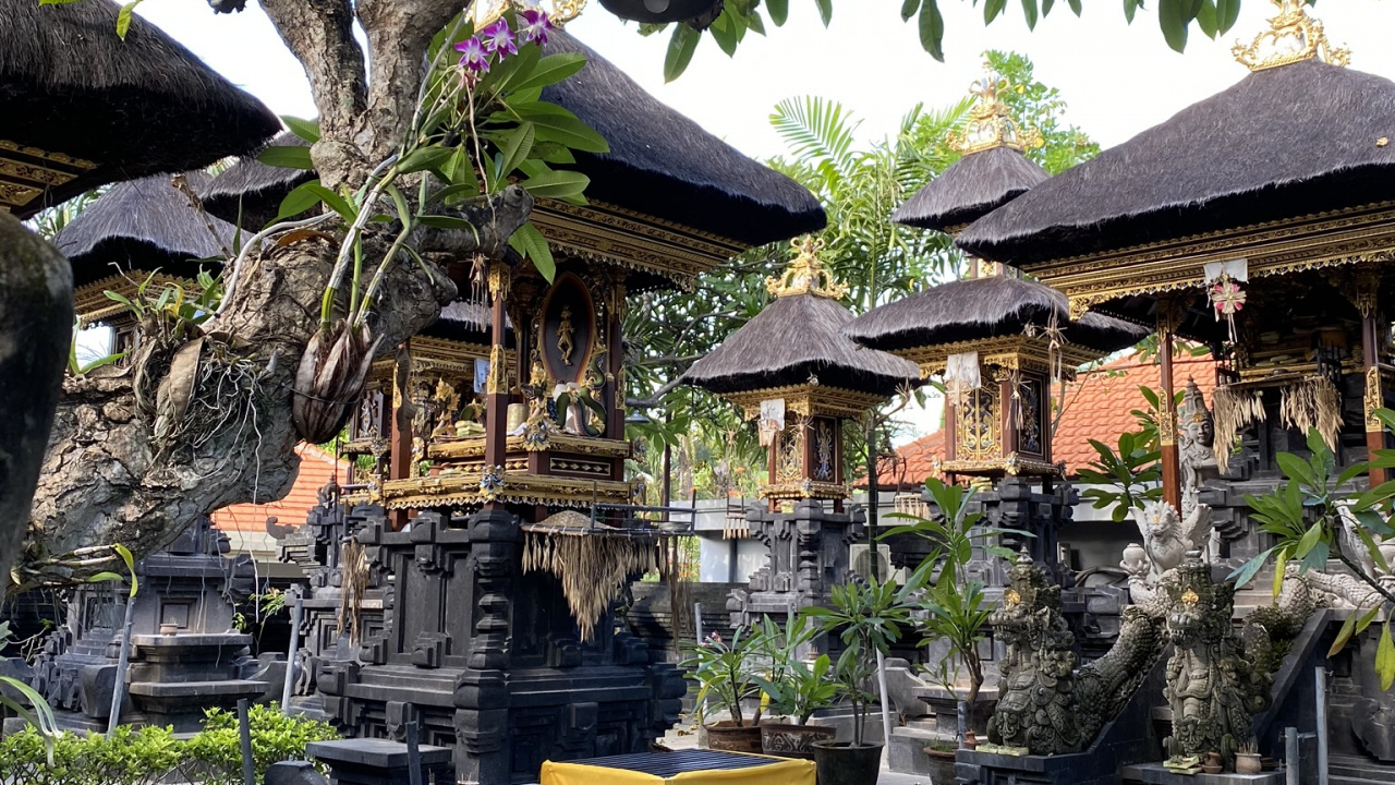 Обои бали, дерево, синтоистский храм, крыша, сад в разрешении 1280x720