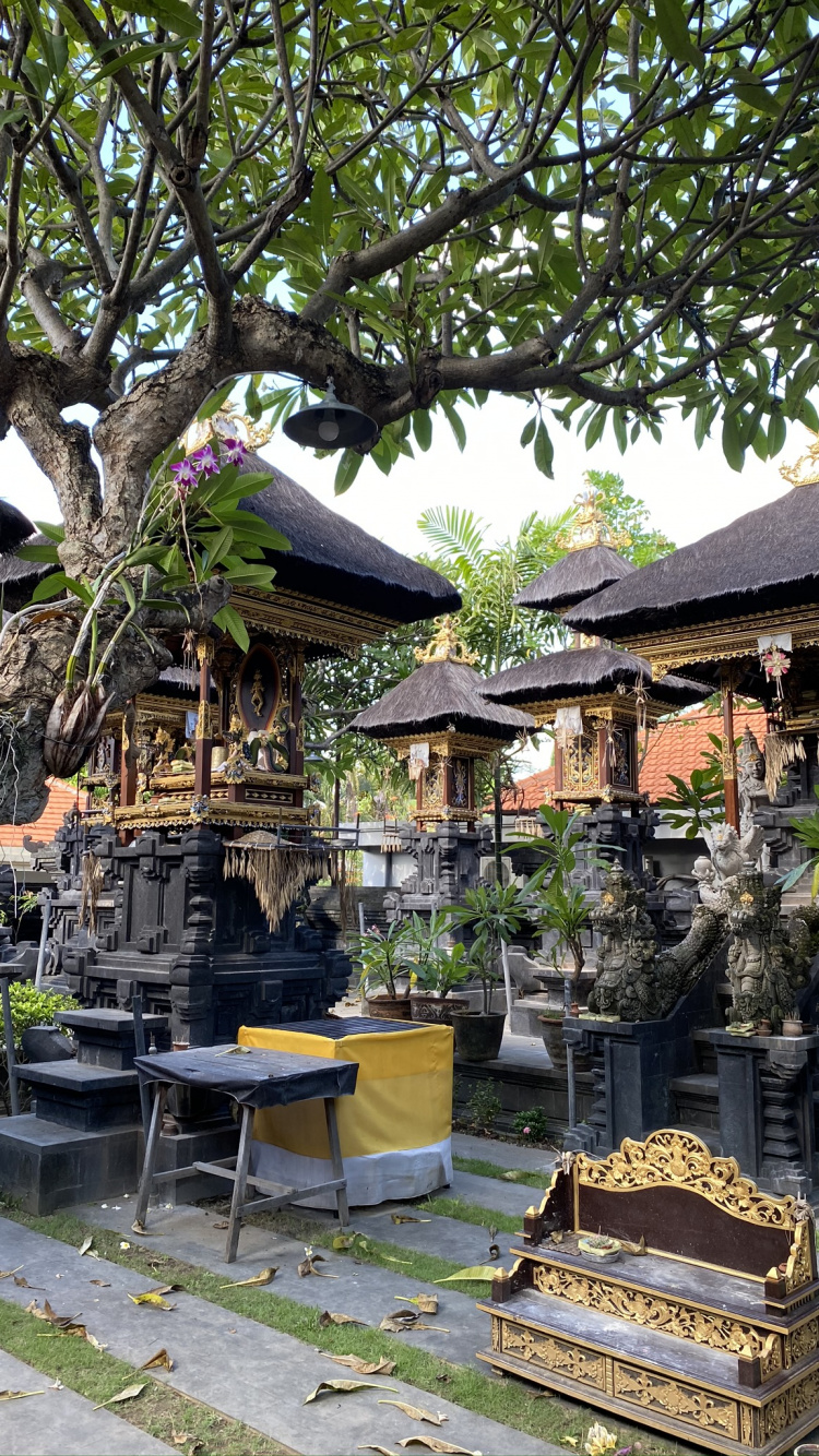 Обои бали, дерево, синтоистский храм, крыша, сад в разрешении 750x1334